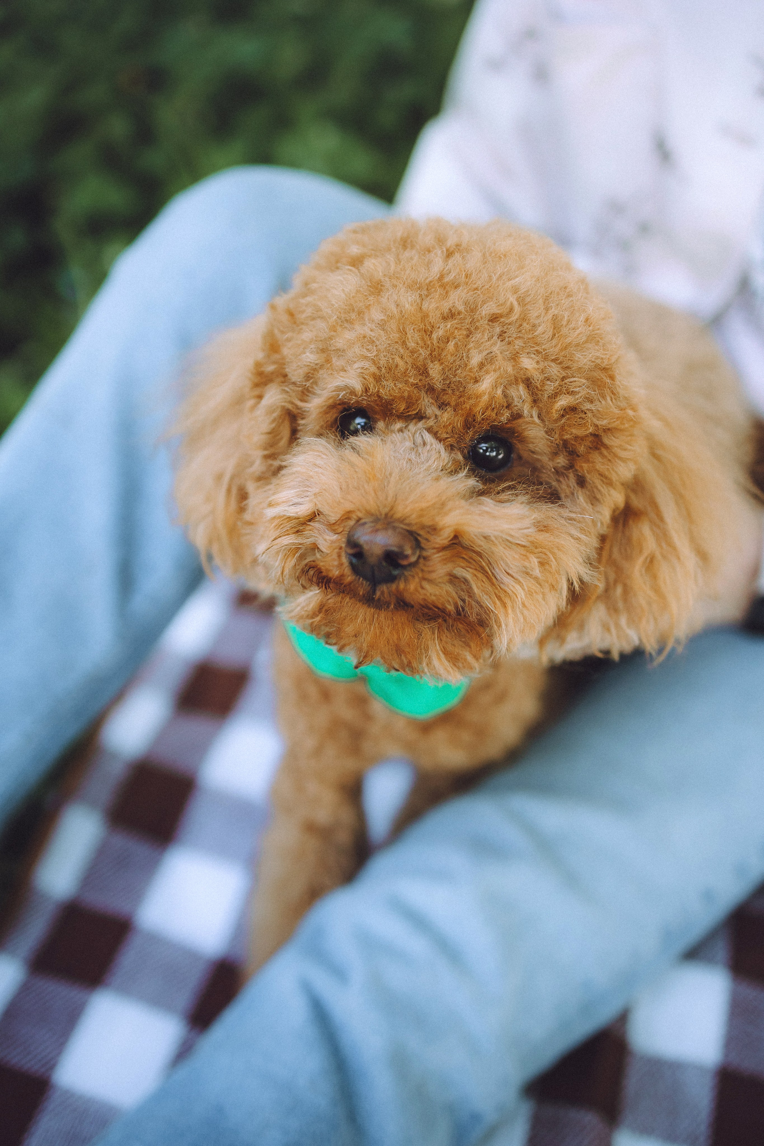 Марья и Буба