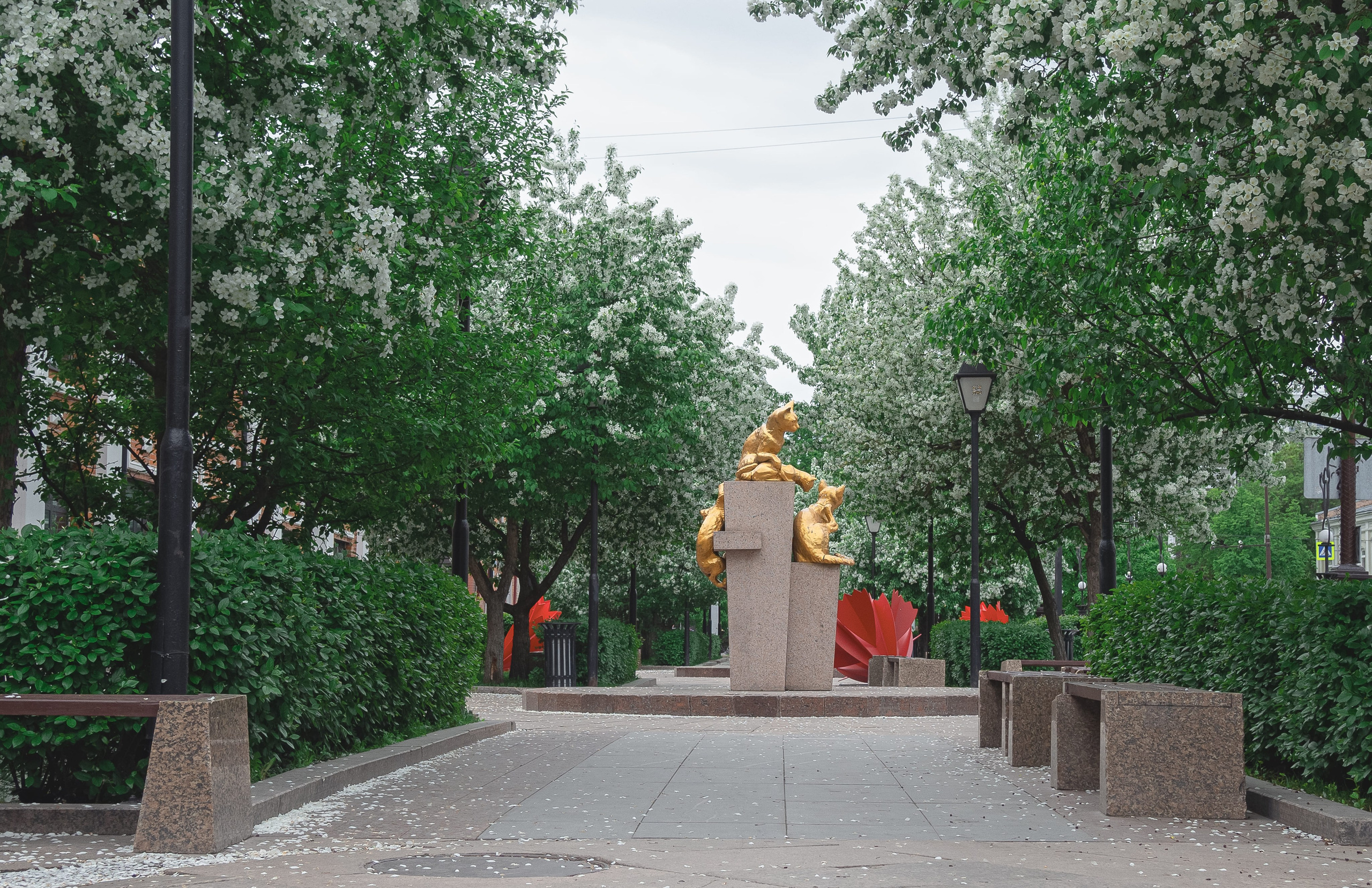 Сквер Сибирских кошек в Тюмени