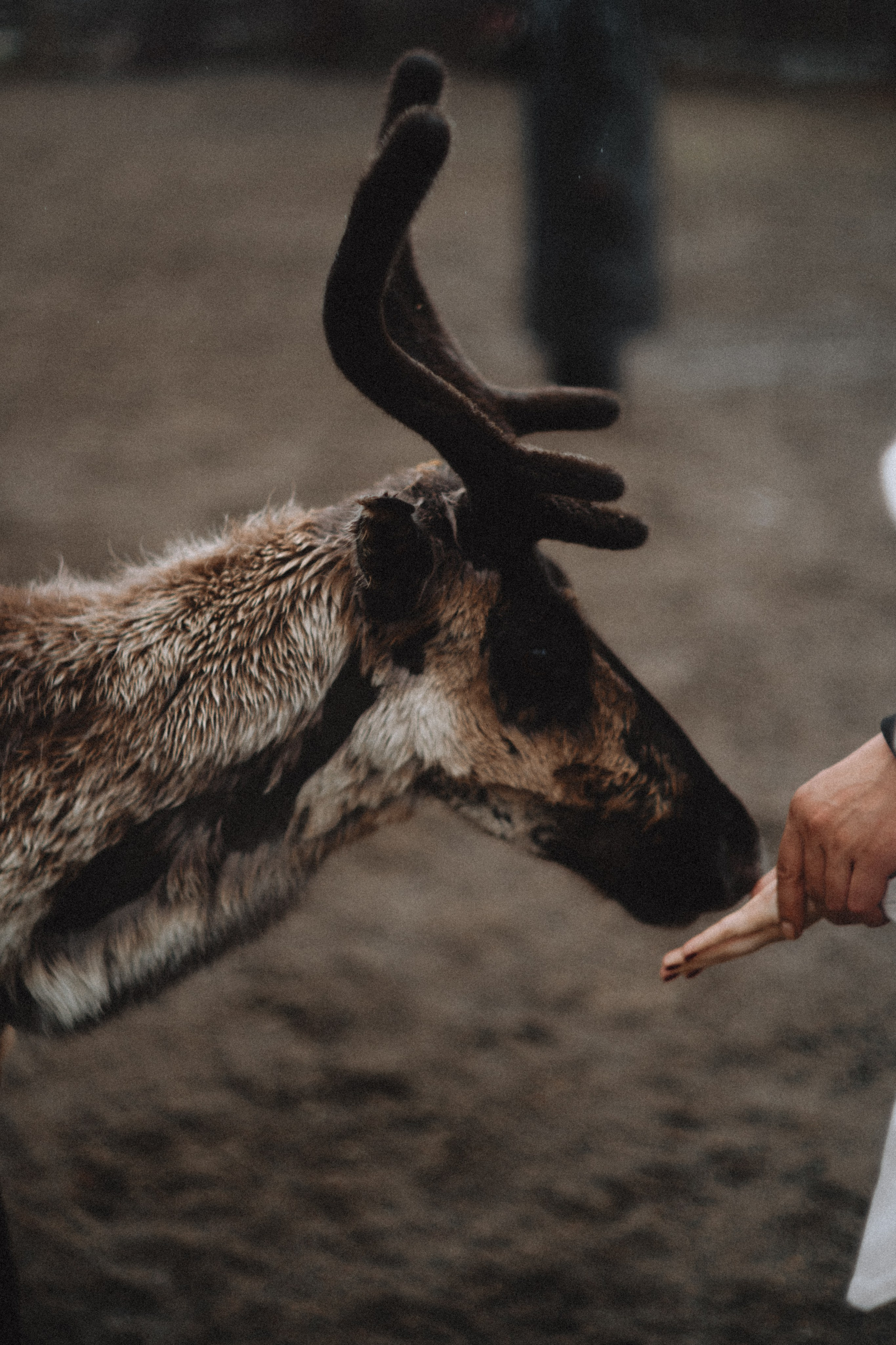 Териберка, Мурманск. Фотосъёмка для компании по организации туров в коллаборации с Яндекс 360