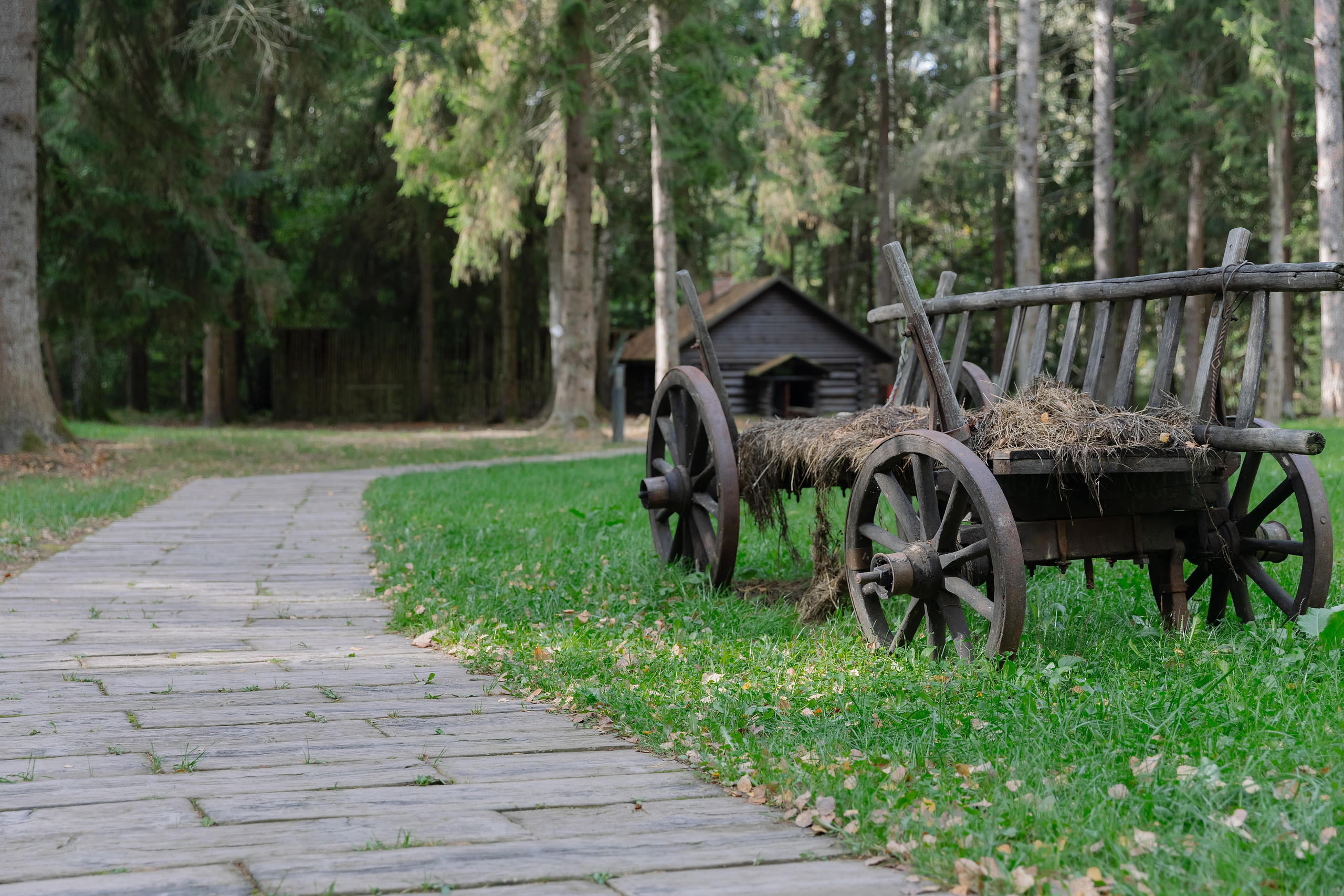 Корпоративная фотосъемка для ОАО Белагропромбанк в Суле в Загородном комплексе Westa. Свадебный фотограф в Минске/Беларуси Сергей Спиридонов