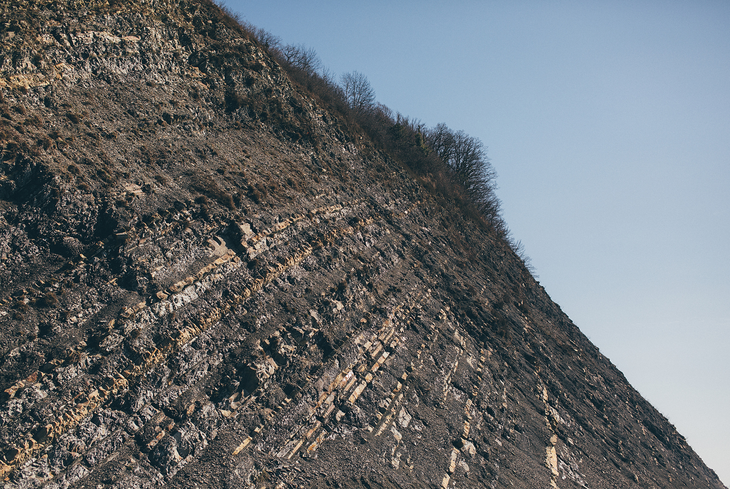 Природа. Свадебный и семейный фотограф/видеограф в Краснодаре Наталья Осинская