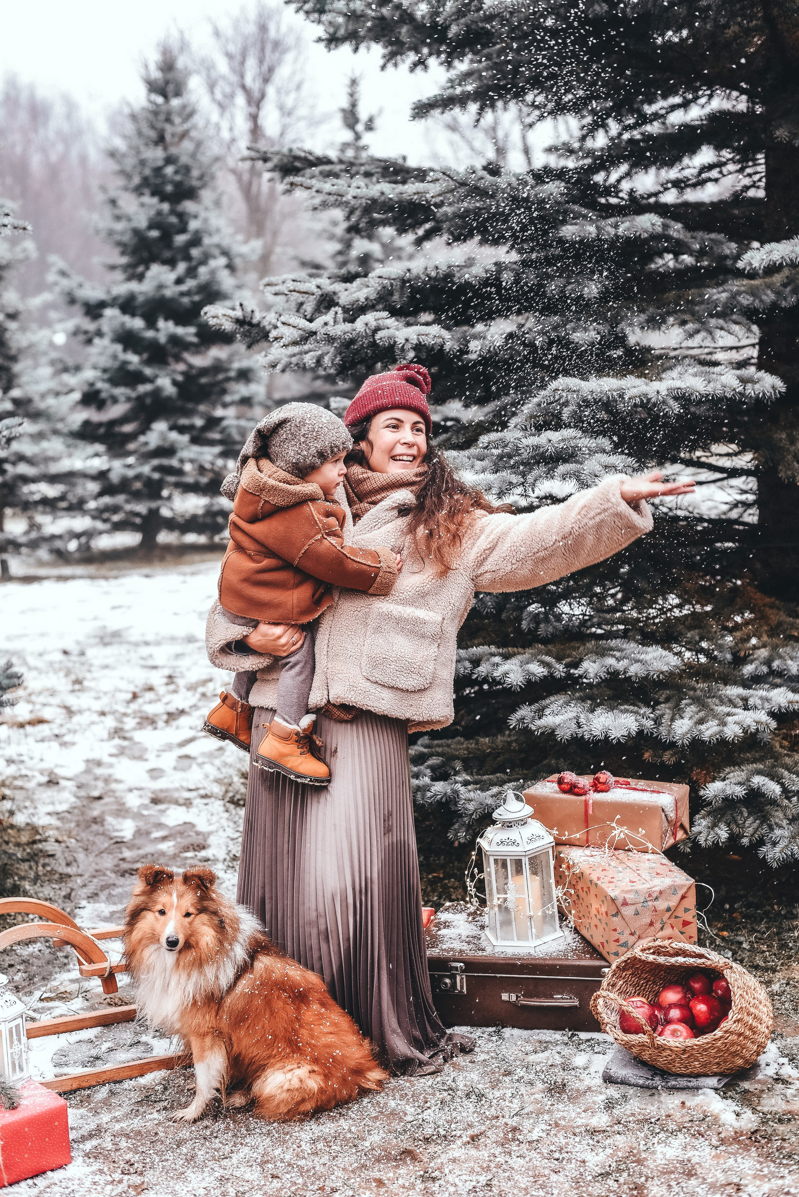 Зимние истории