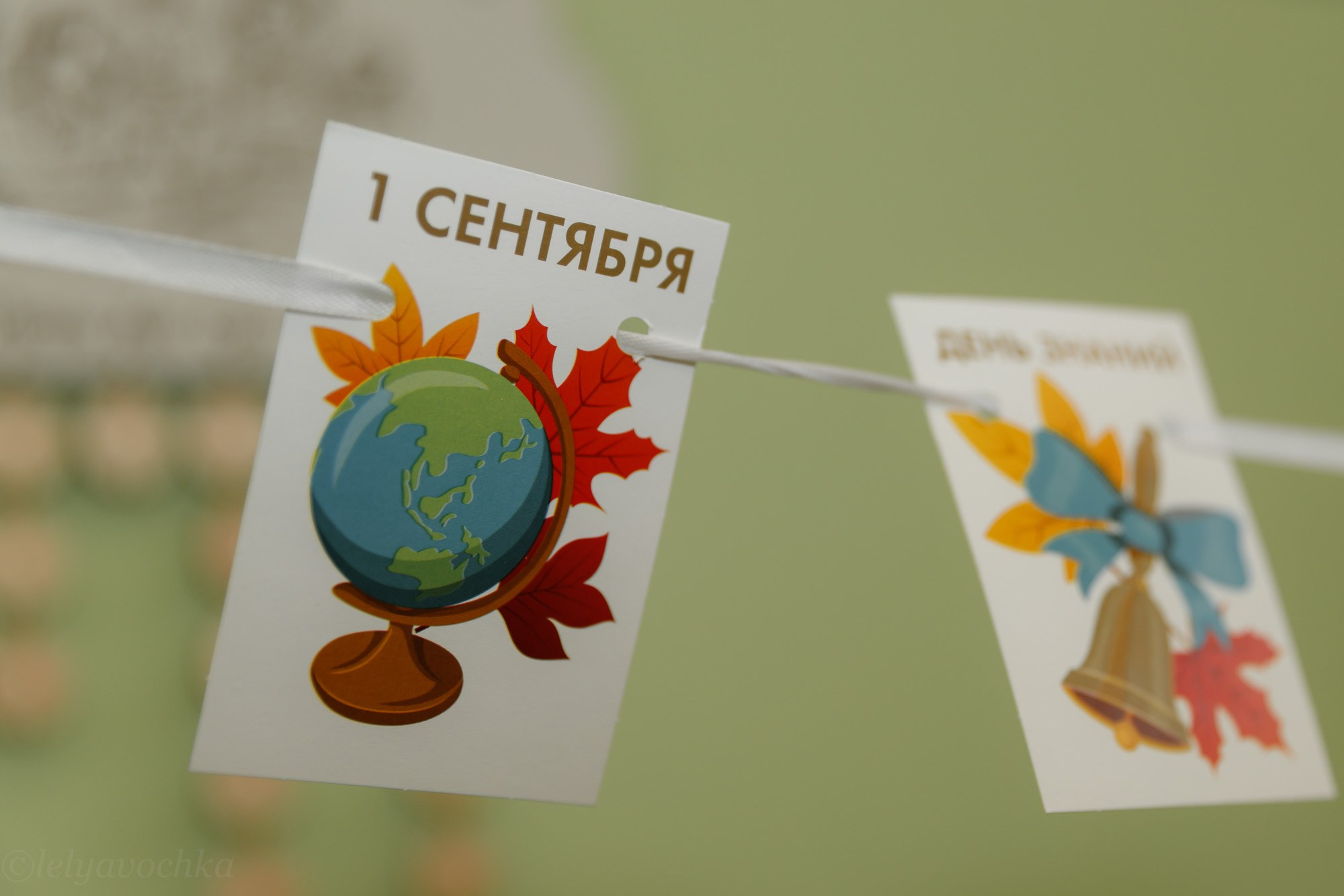 Мастер-класс в школе. Счастливый фотограф Елена Лелявочка Санкт-Петербург