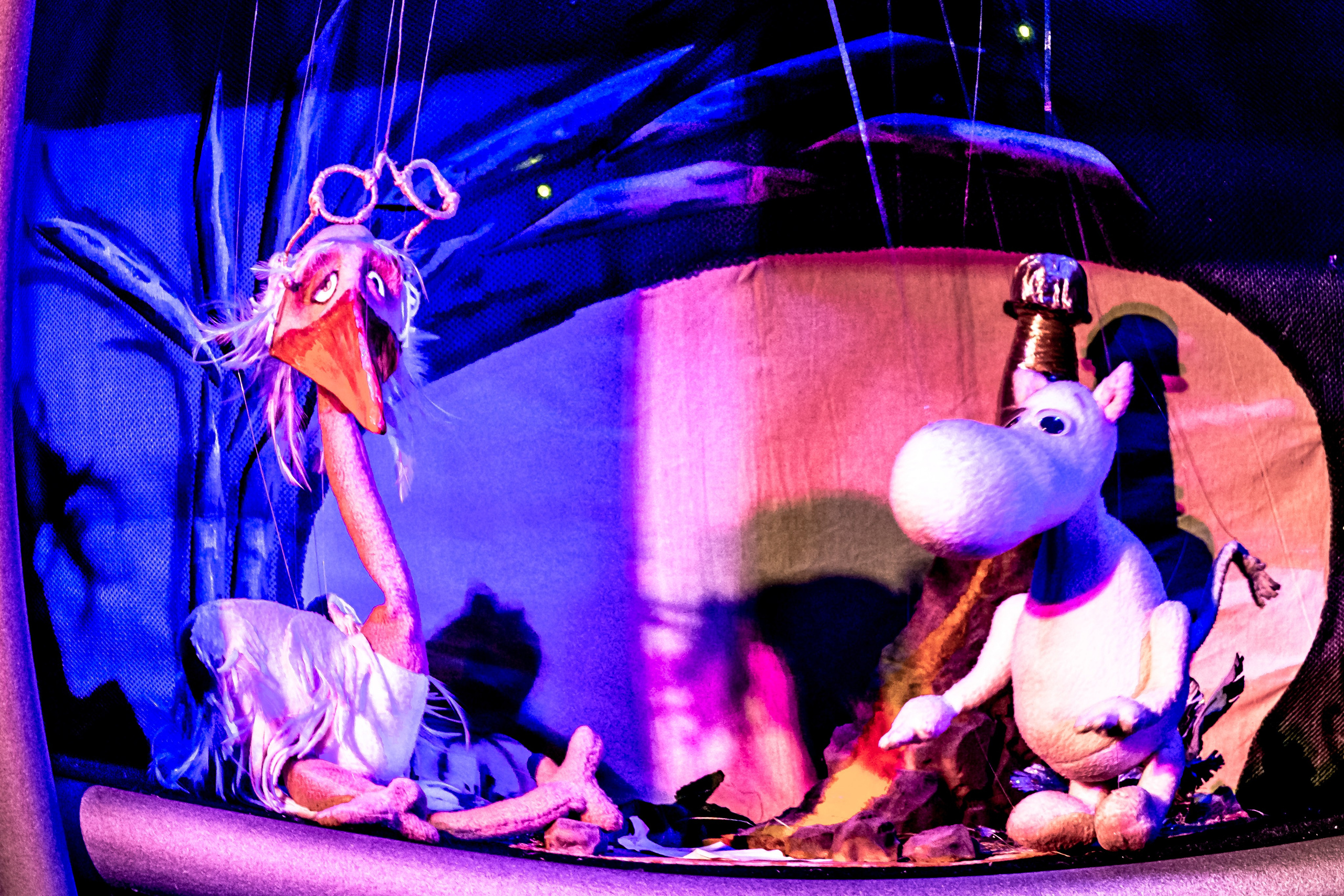 «Муми тролли и большое наводнение». Фотограф в Сочи Юрий Шептаев