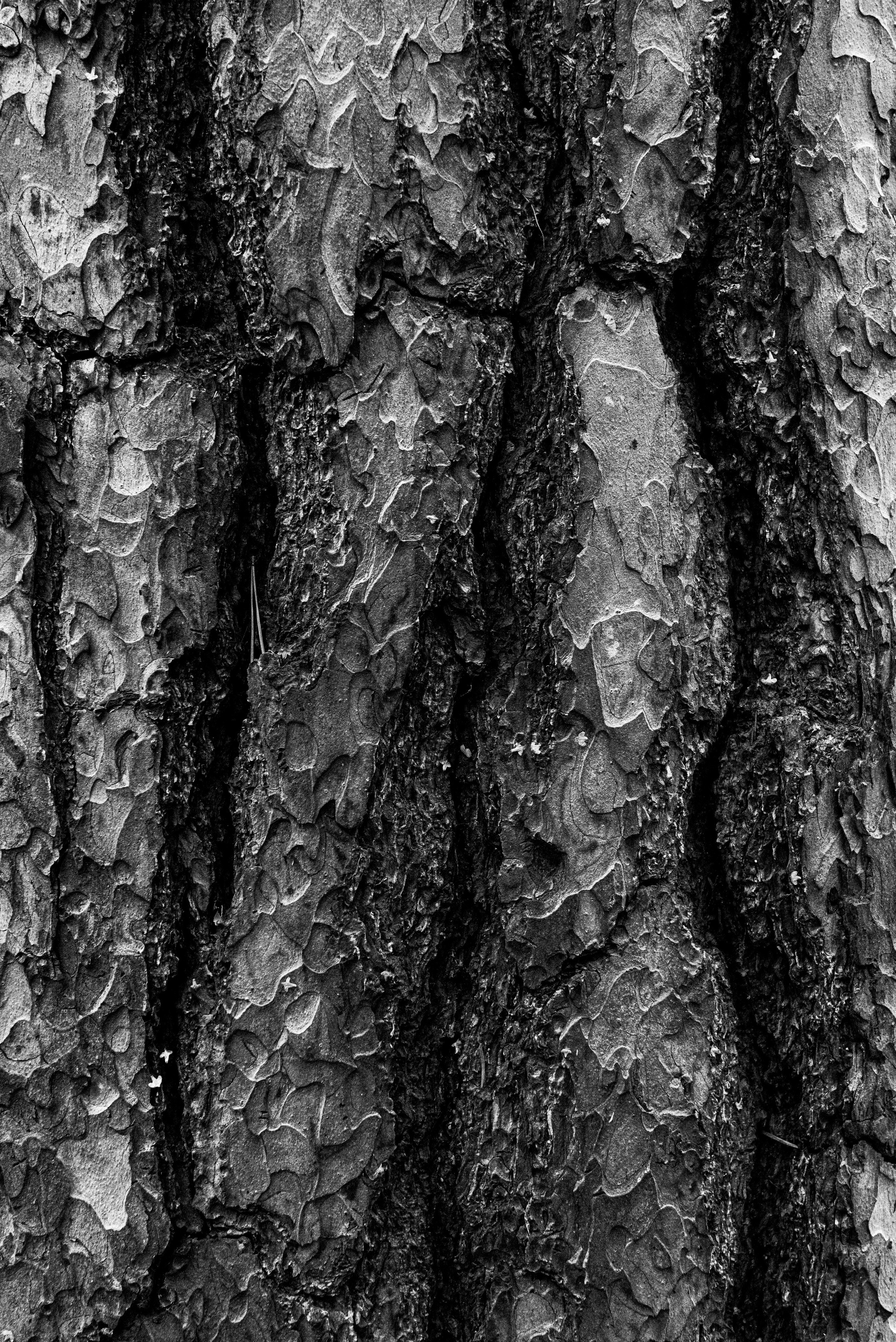 Текстуры. Портретный и архитектурный фотограф в Москве и Санкт-Петербурге