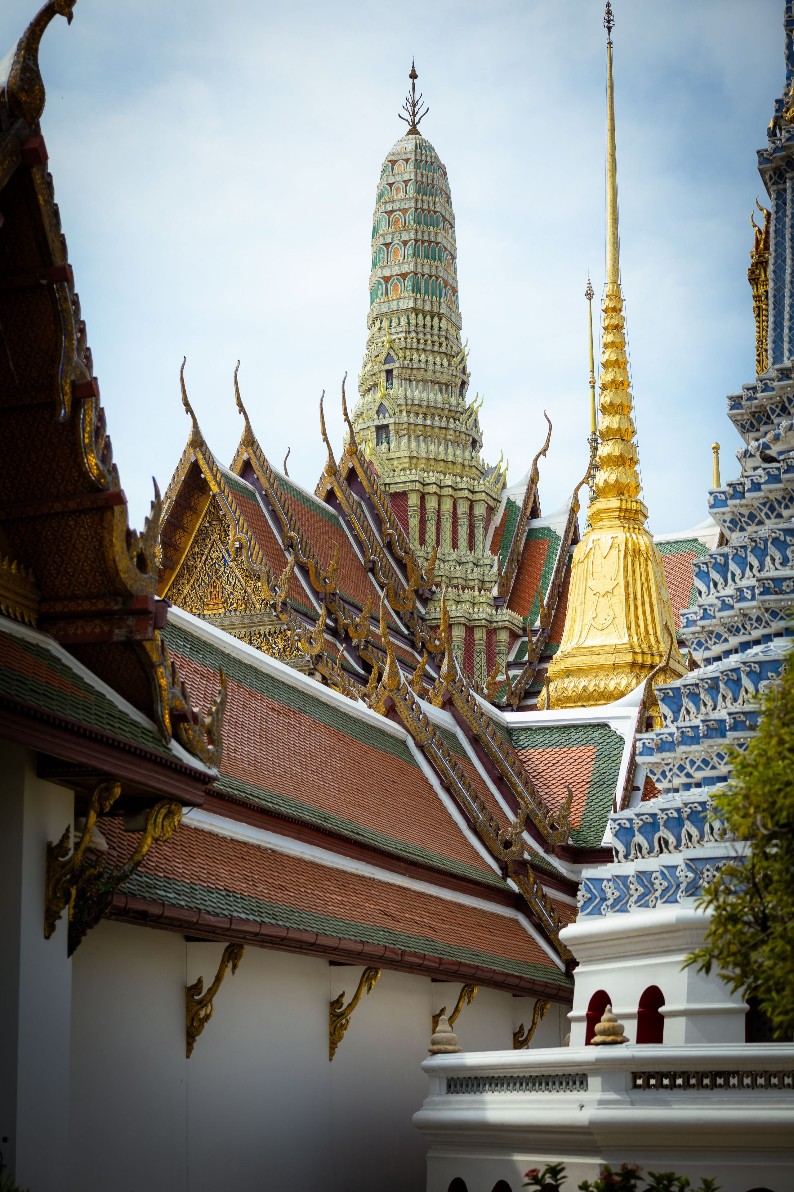 Таиланд (зима 2025). Фотограф Виноградов Константин