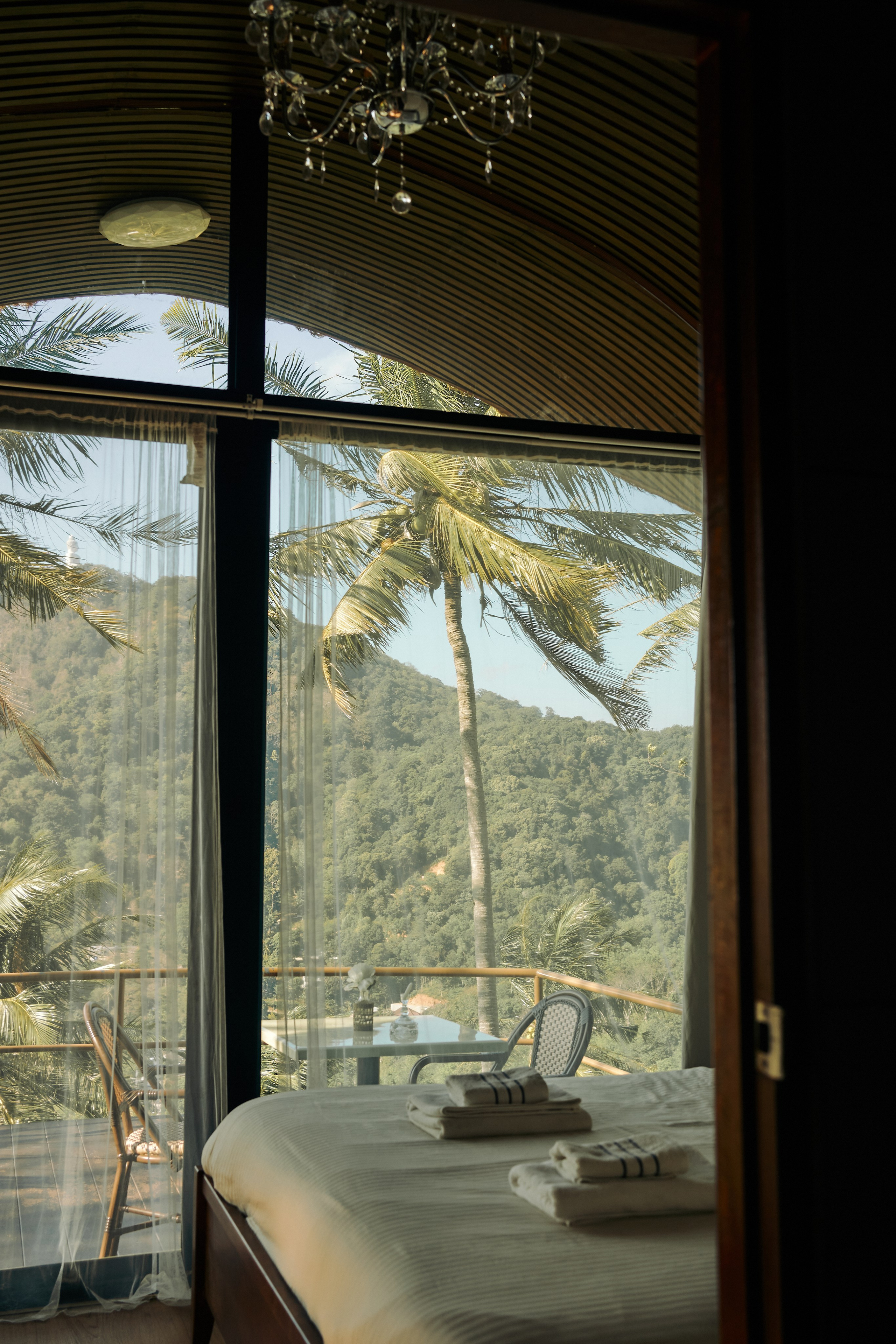 Jungle Farm. Mayskaya photography