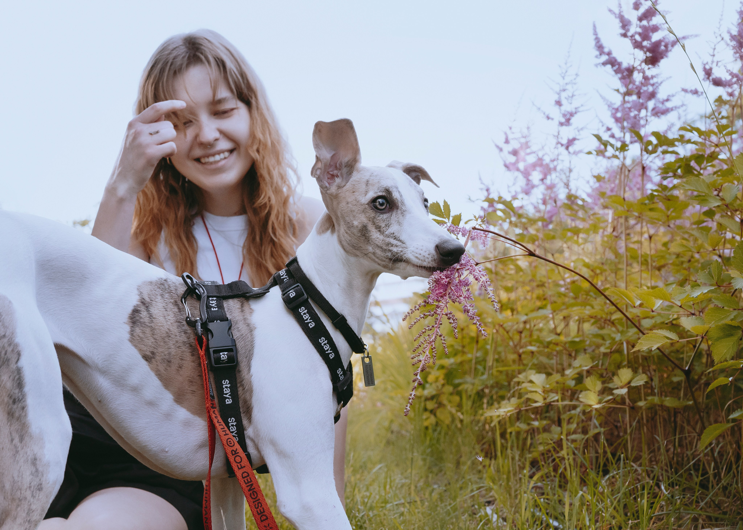 Ветка. Фотограф- анималист Александра Матвеева