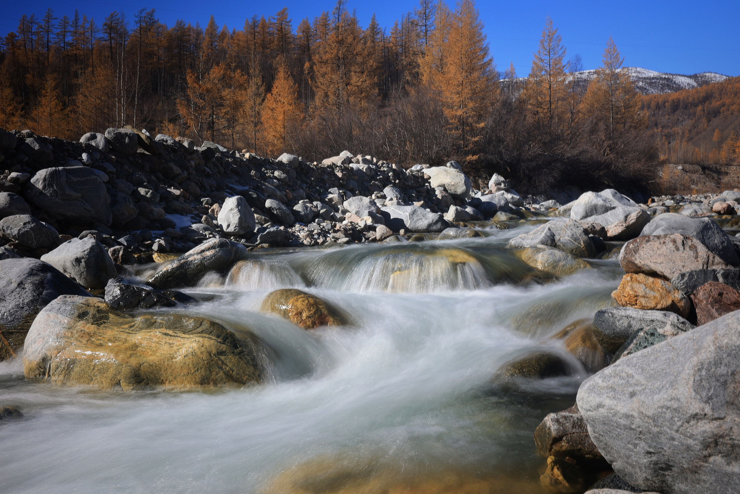 2023. Тащилин Сергей. Фотографии. Жизнь. Хобби