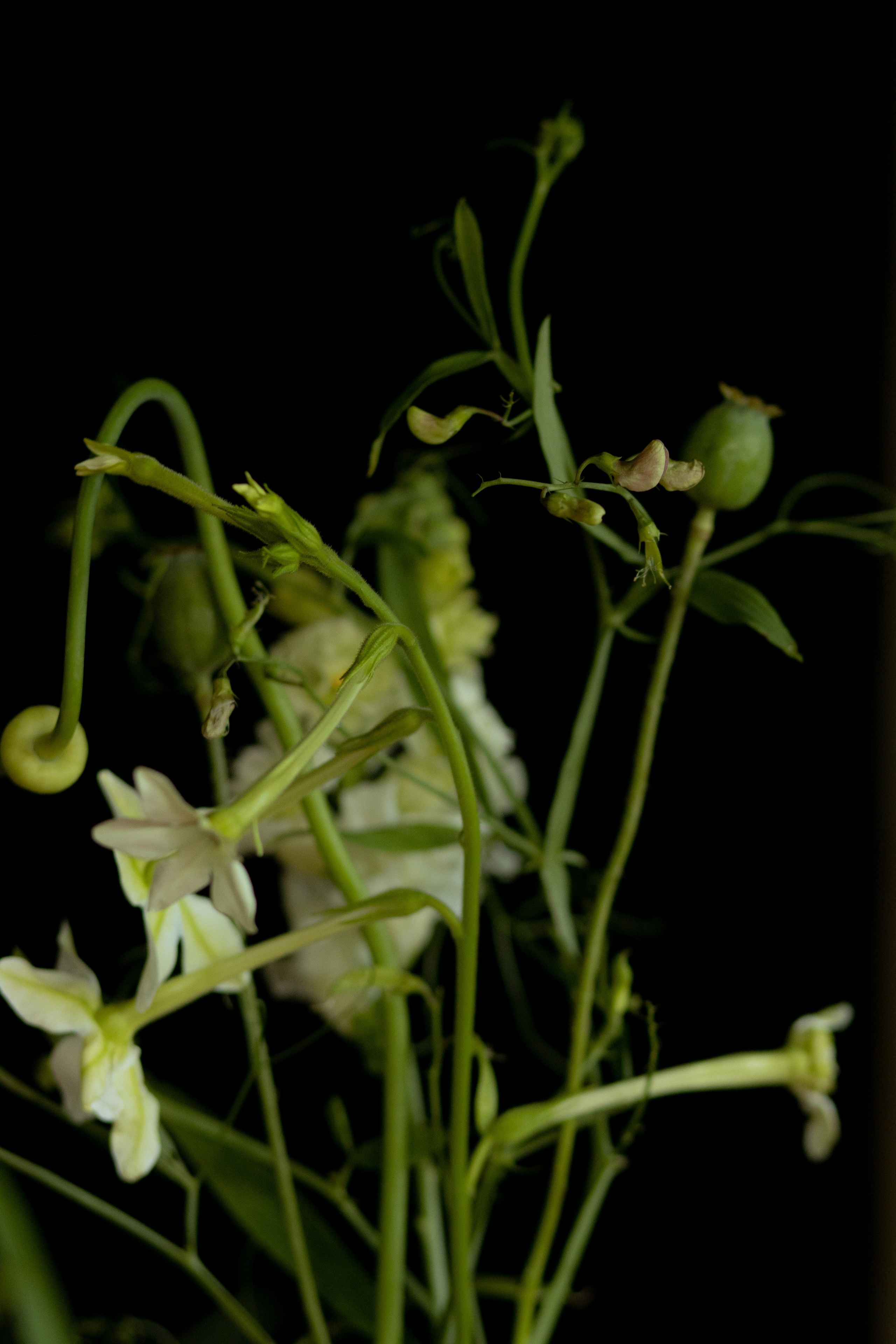 Алина & Николай. Оформление свадеб, декор свадеб Вера Маркова, Москва