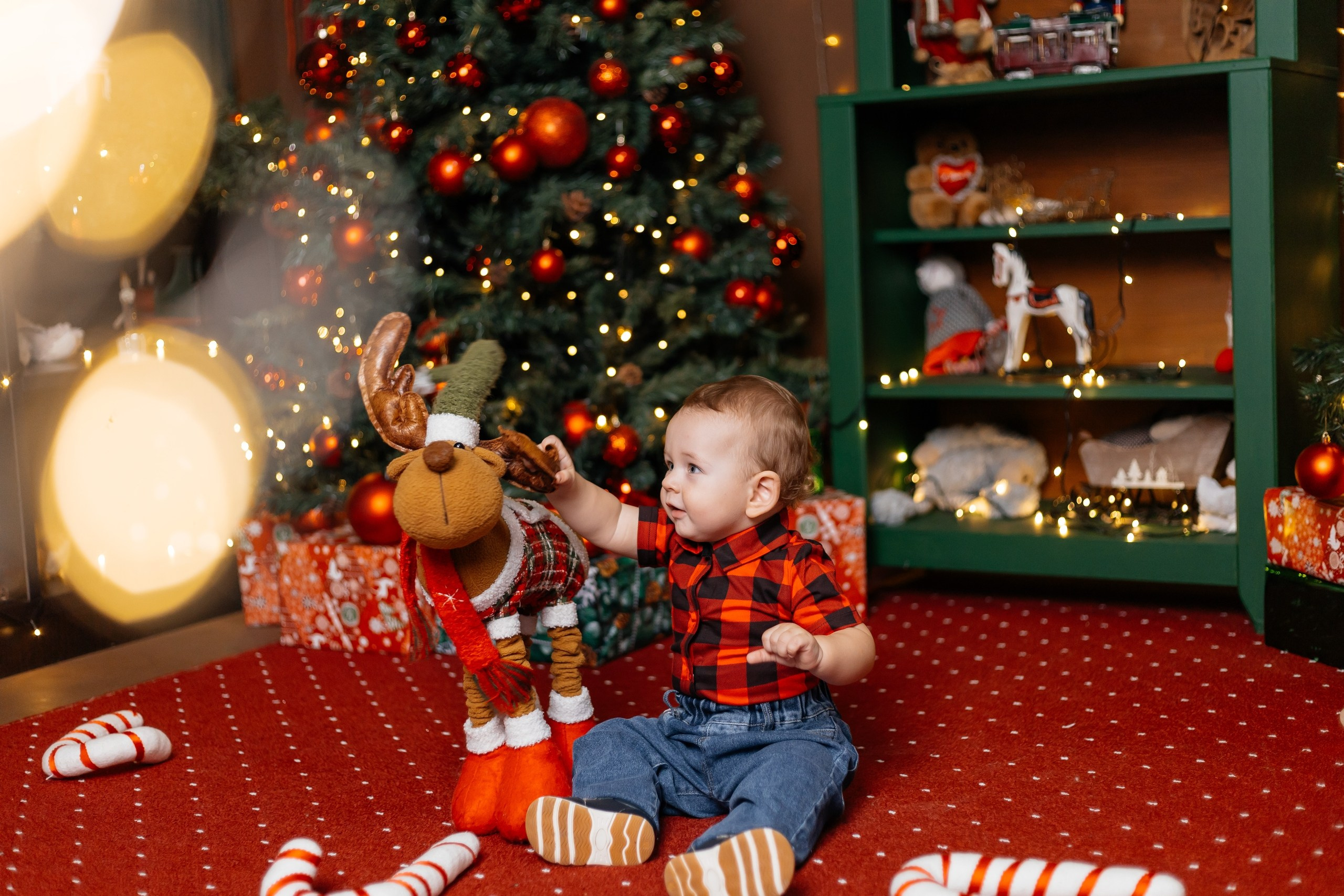 Новый год 2026. Семейный фотограф в Саратове Элоиза Ляпина