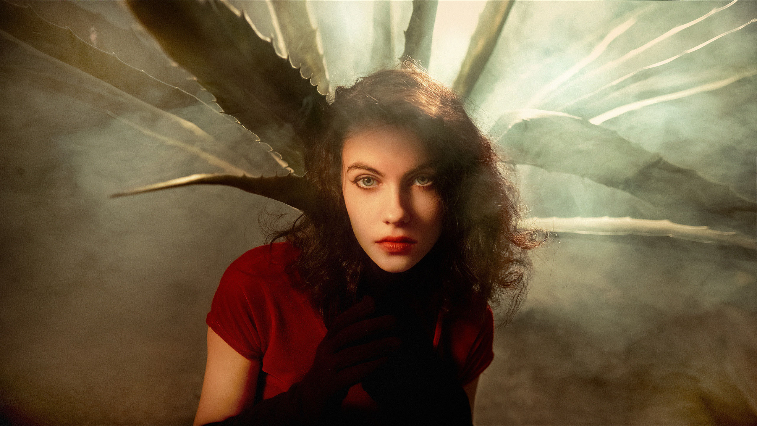 Художественные фото. Автор Наталья Долина. Фотограф в Москве Наталья Долина