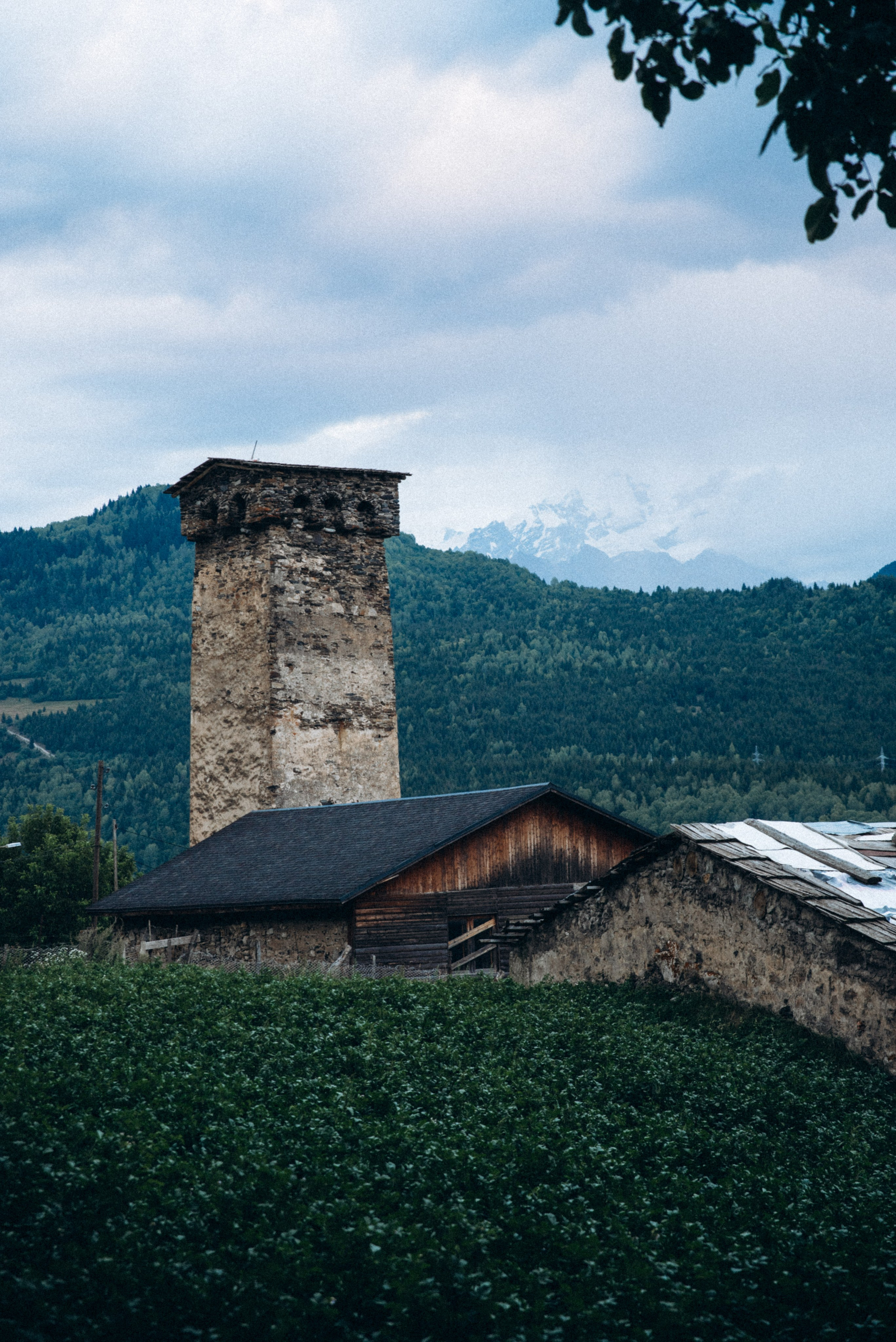 Сванетия, Грузия 🇬🇪. Anita_photo