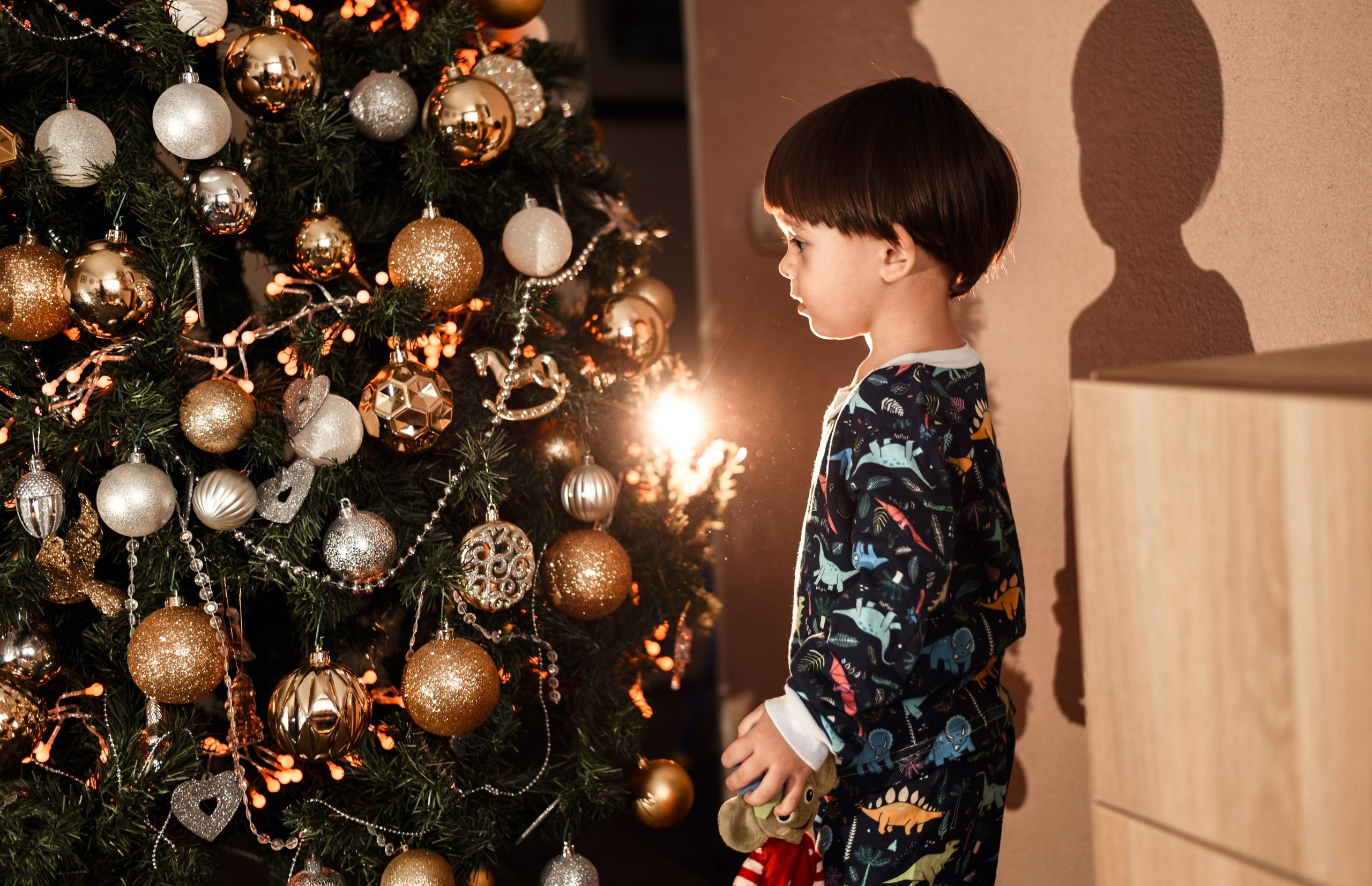 Домашняя новогодняя. Свадебный, семейный, детский, контент фотограф в Омске Максим Ильин