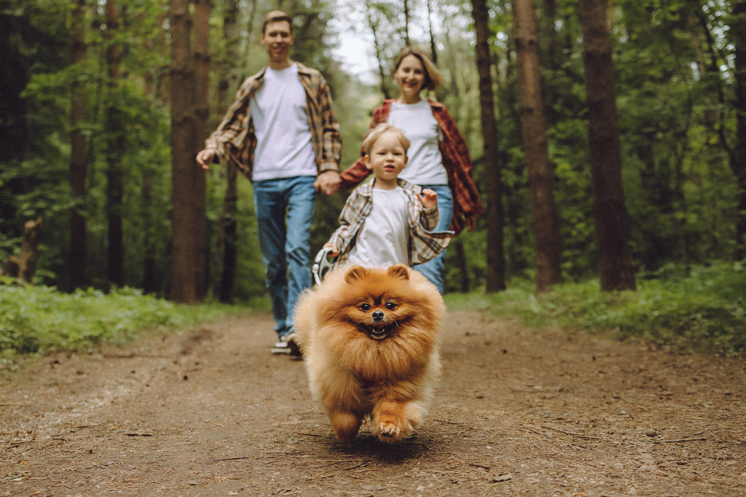 Лорик и его семья