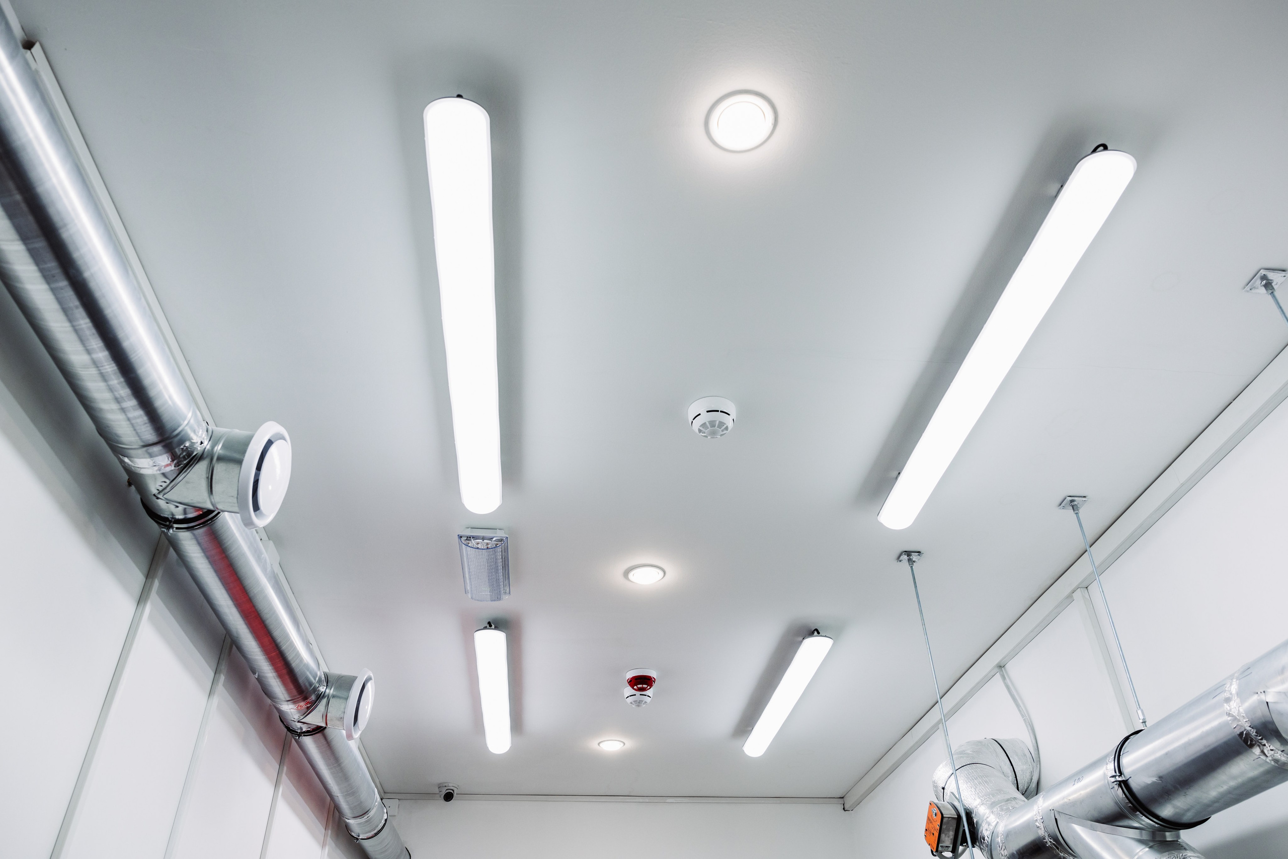 ЧЕБ И РЕК | РИО. ФОТОГРАФ ИРИНА ШАМАТАВА