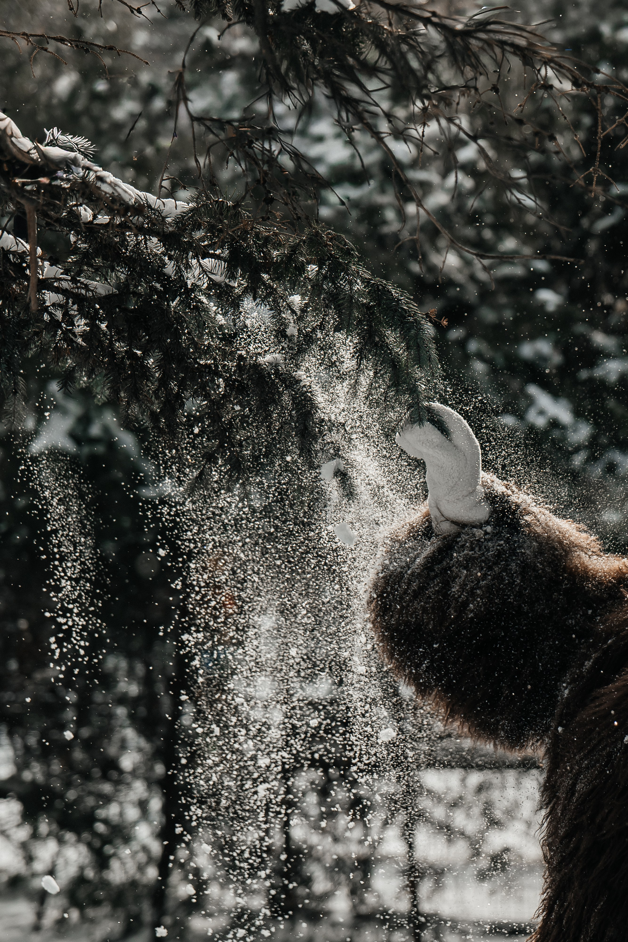 Лайфстайл фотограф Ростов-на-Дону I Москва