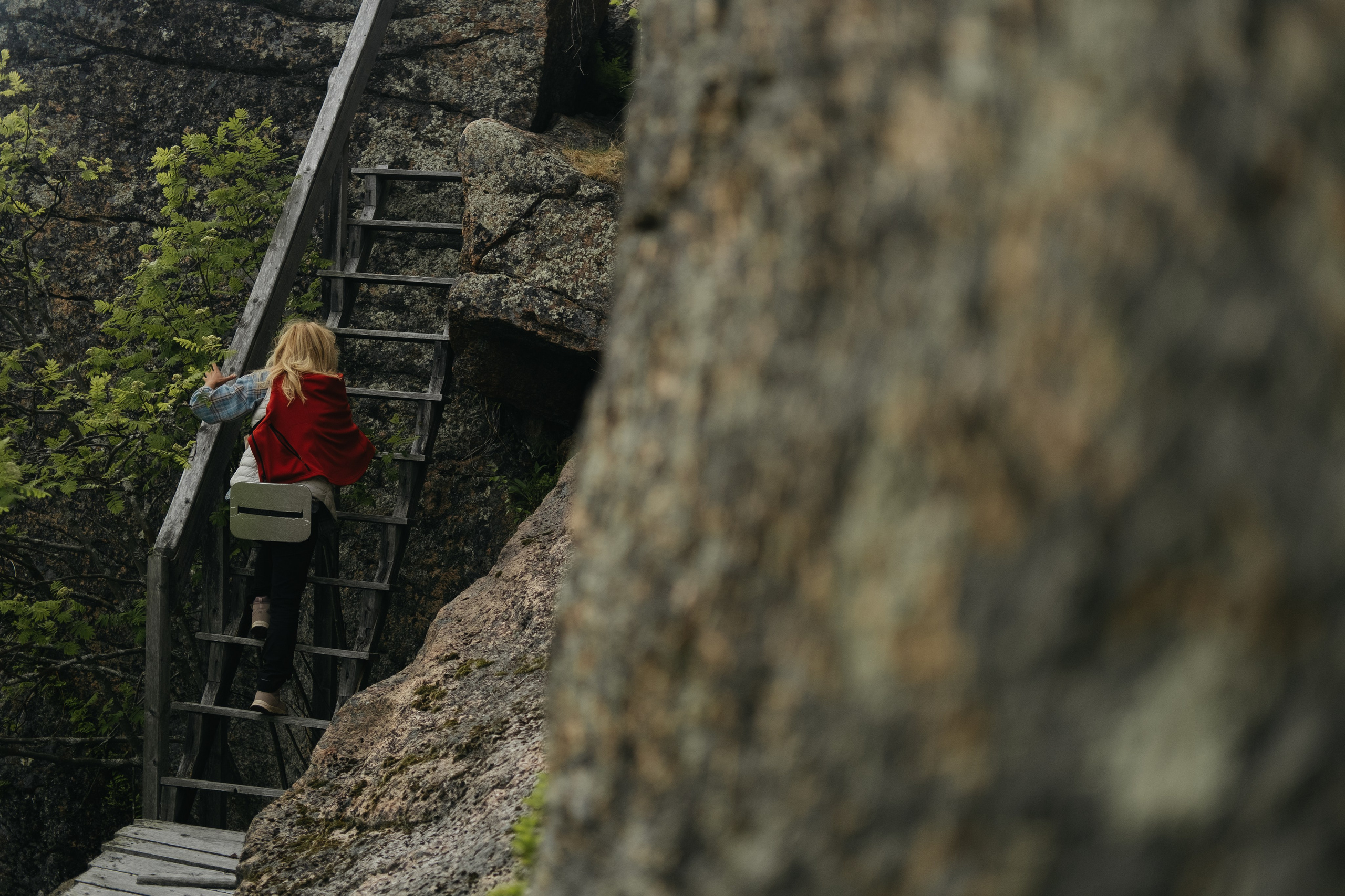 Карелия и Соловецкие острова. Обо мне