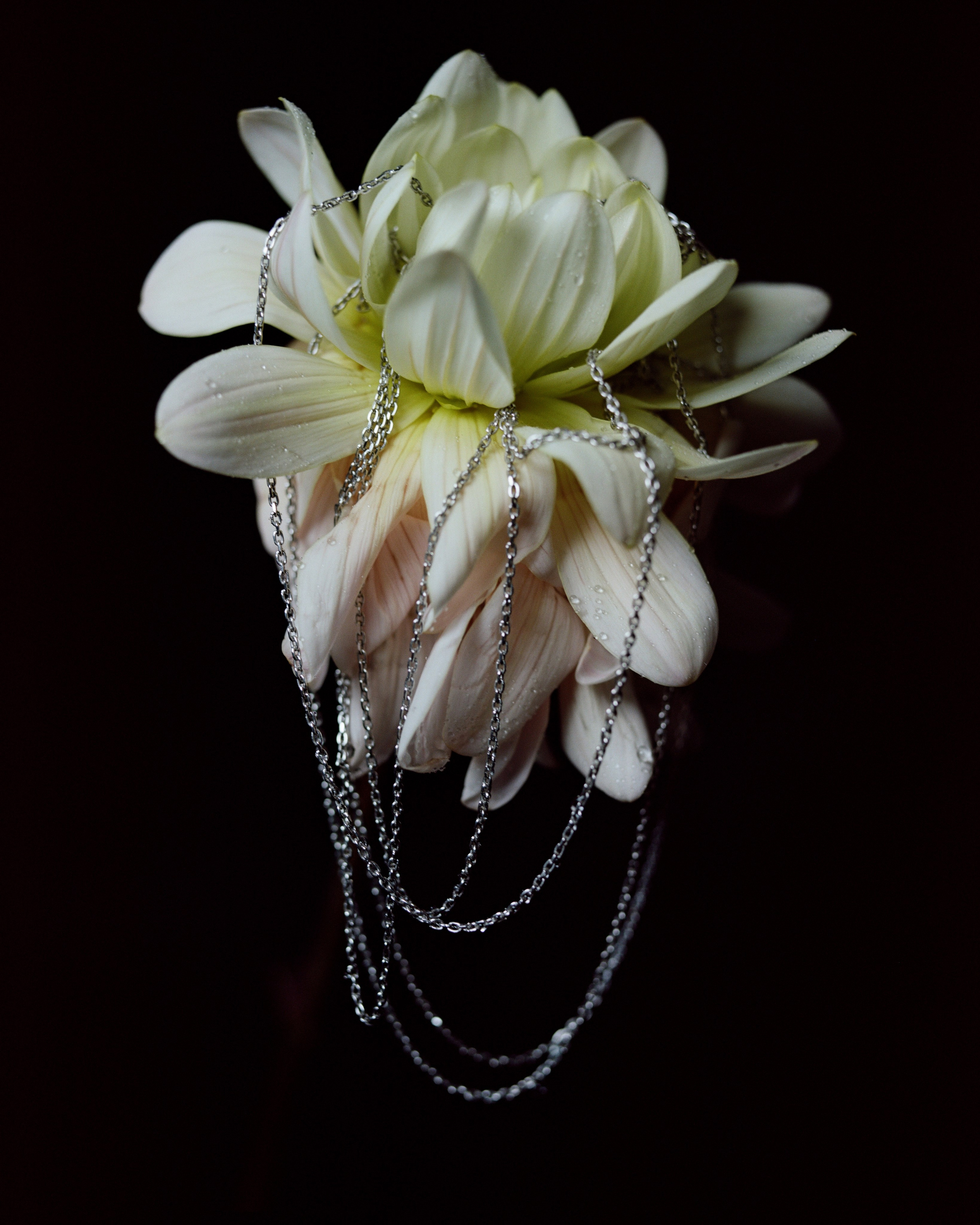 Sumei. Фотограф из Москвы