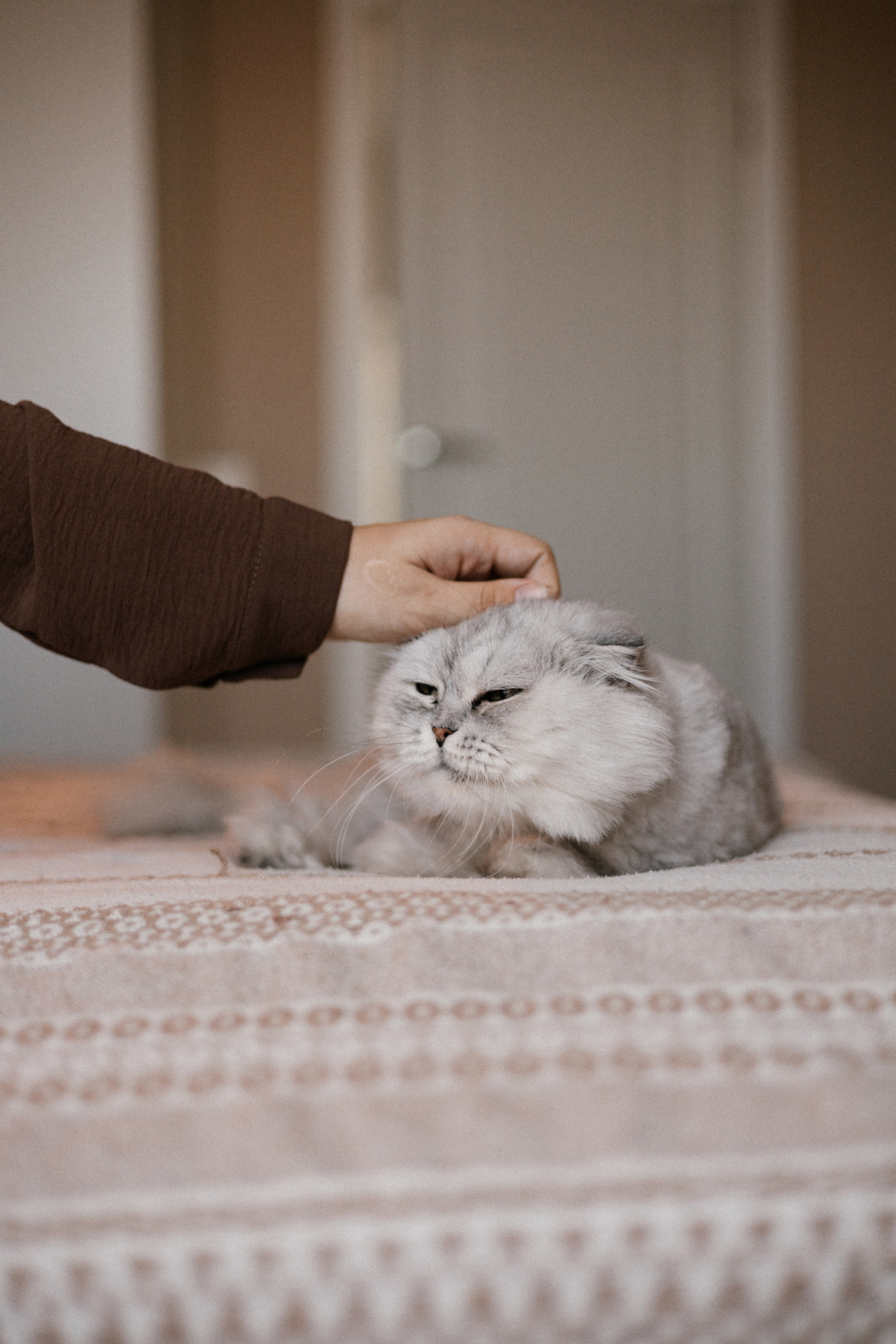Есения и Виктория. Фотограф в Кемерово Миллер Анна