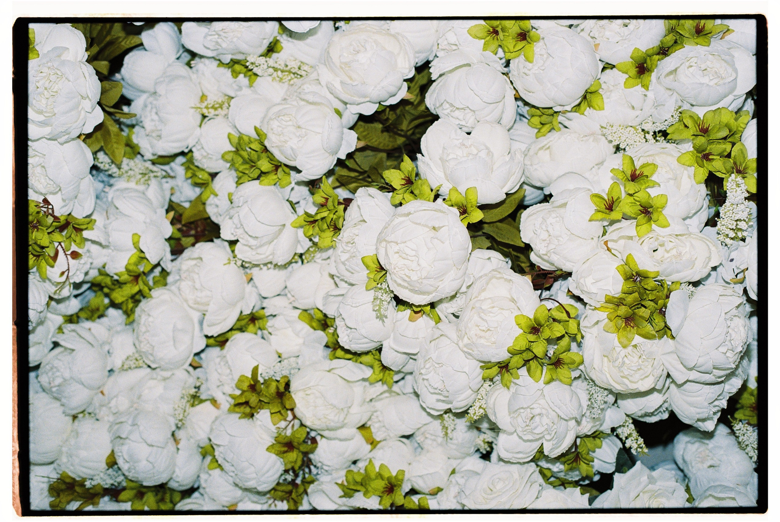 Артем и Дарья. Свадебный фотограф в Москве Евгений Рыжов