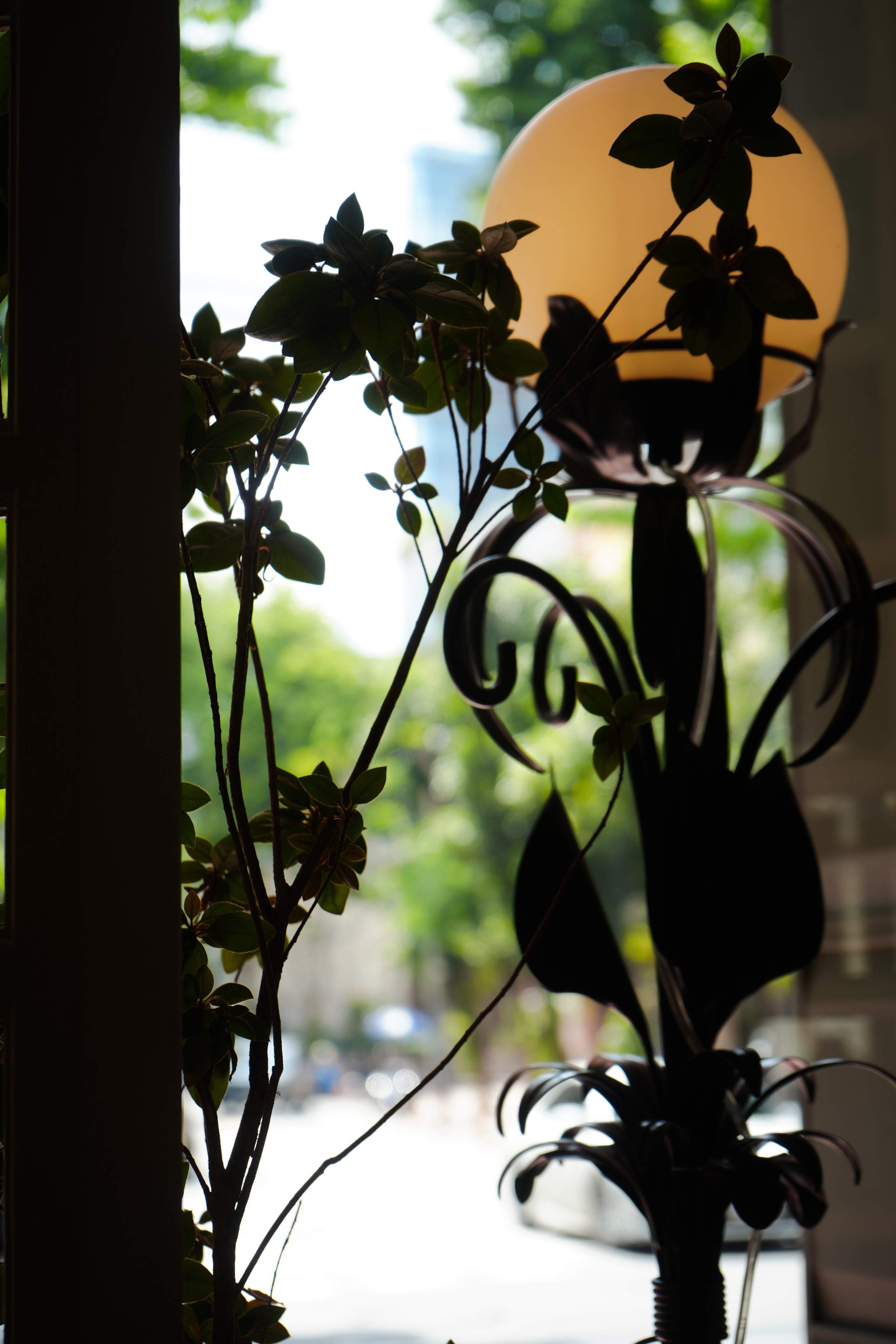 The Corner House Bangkok. Photographer in Vladivostok, Taisiya