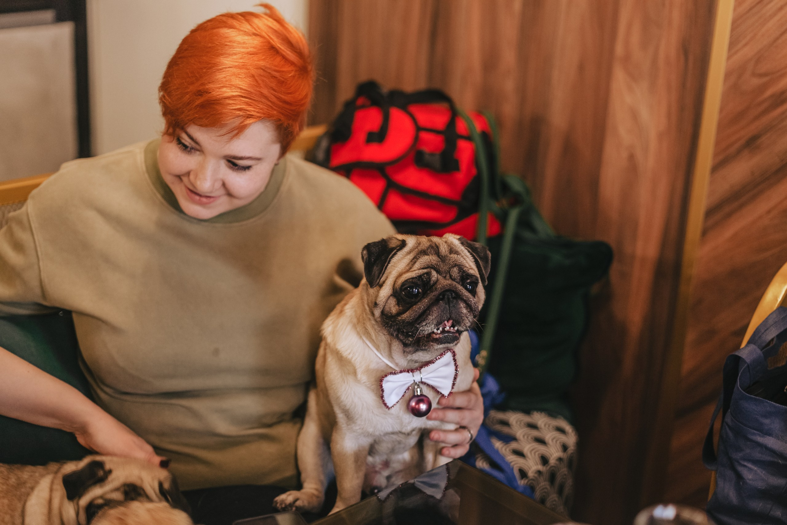 Мопсовстреча 02.12.2023. Фотограф-анималист Татьяна Степанова