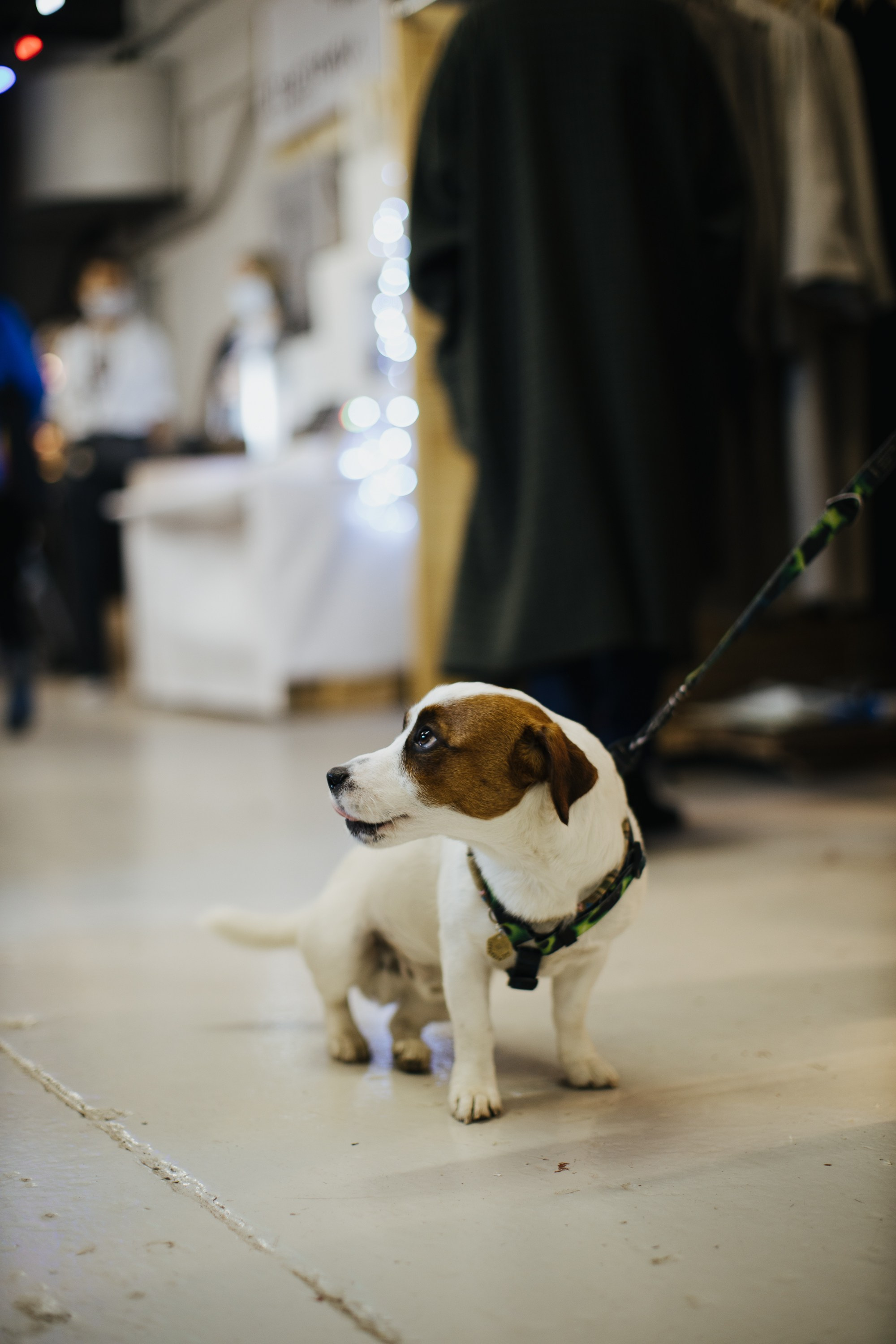 17–18 октября 2020 в «Инлиберти» / фото Валерий Белобеев. Фотоотчеты «Ламбада-маркета»