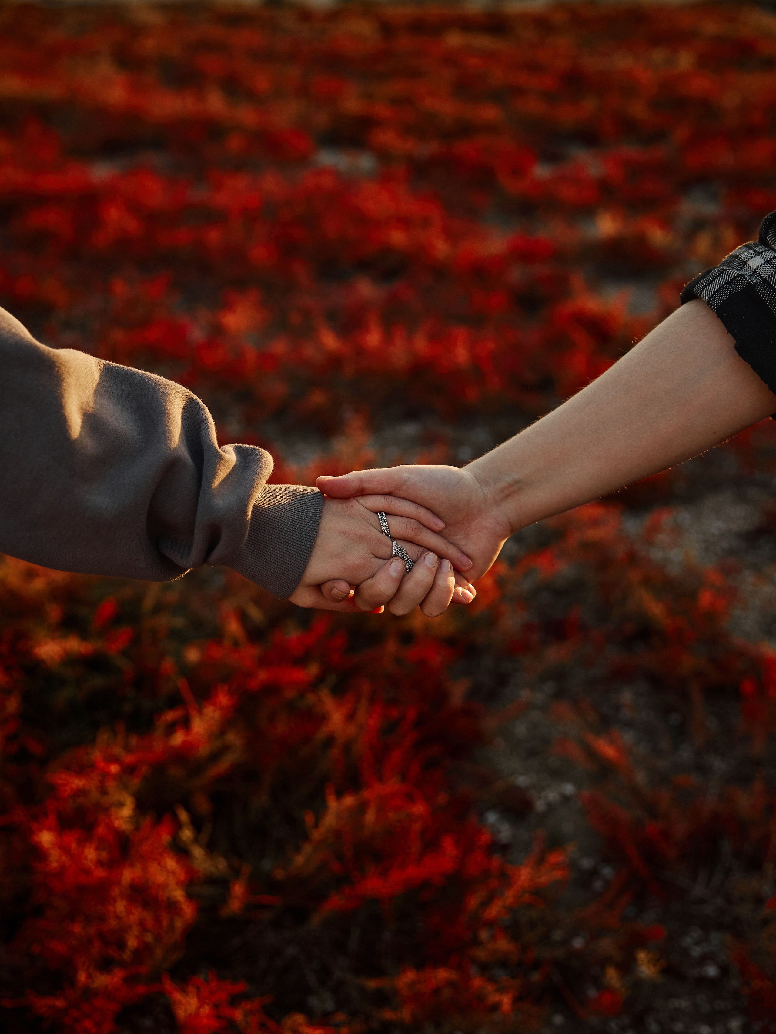 Пара держится за руки на фоне красного солероса, фотосессия в Анапе