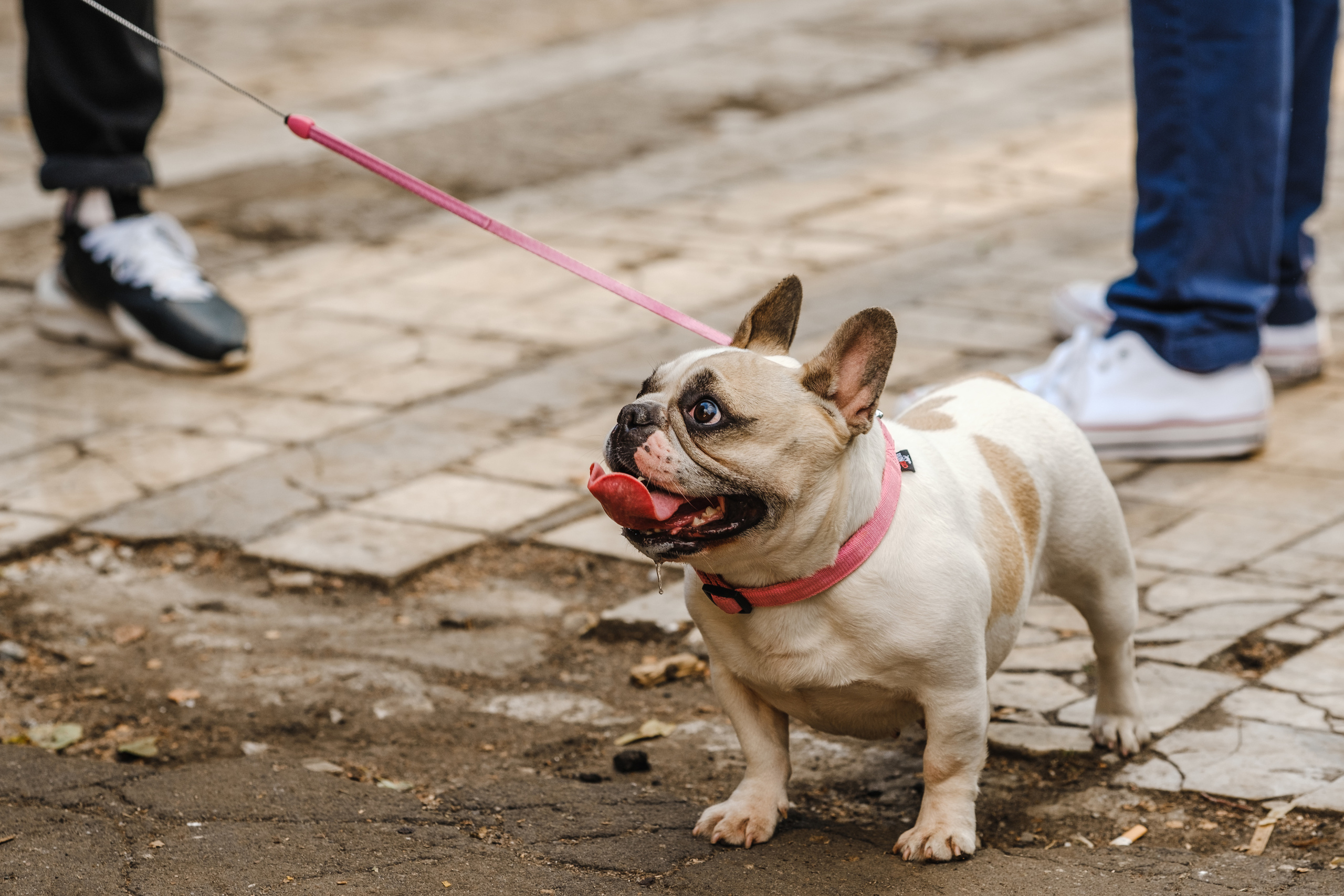 ENCORE FEST. Свадебные фотосессии в Москве. Фотограф Сергей Ржевский