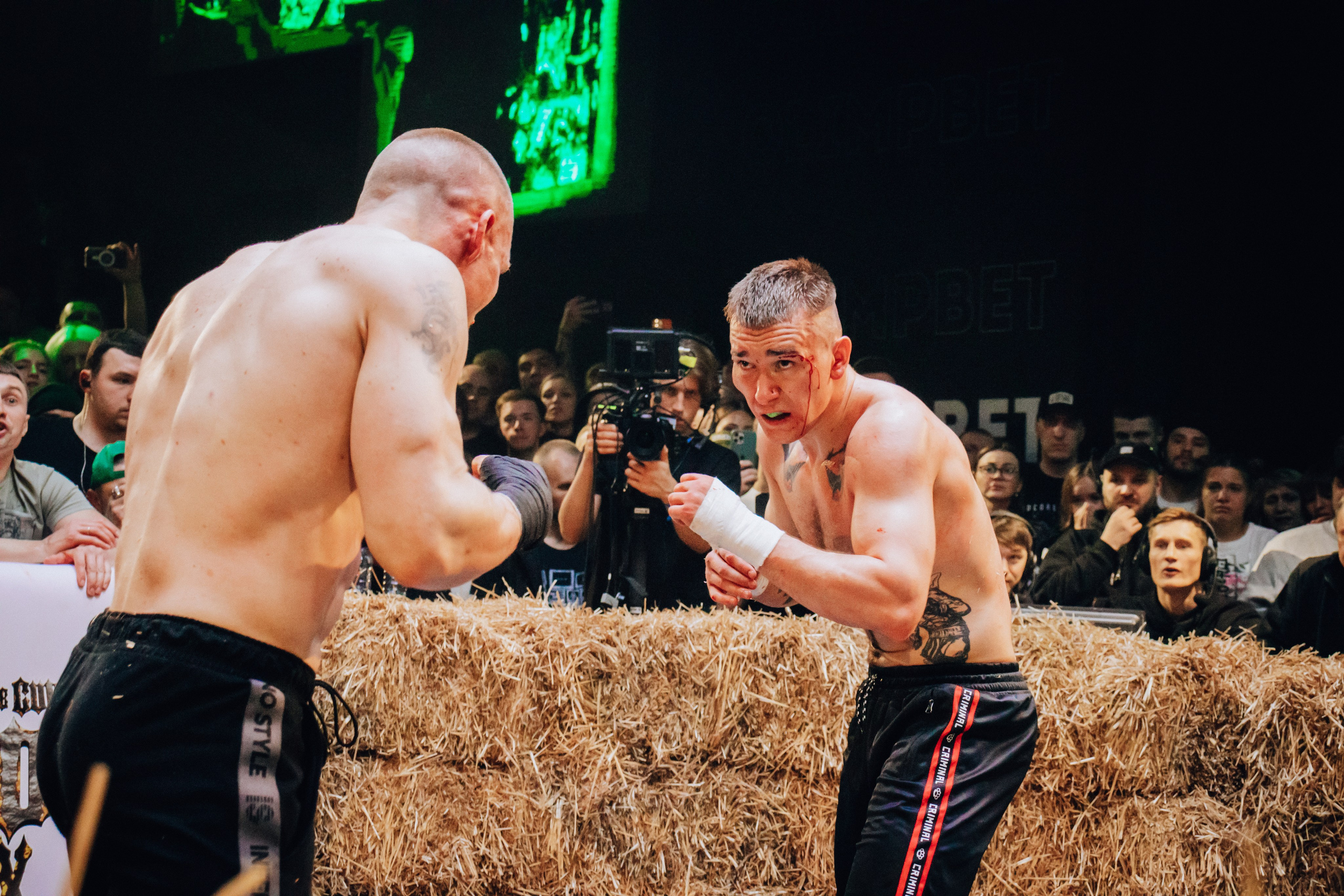 Кулачные бои TopDog. Анастасия Тен