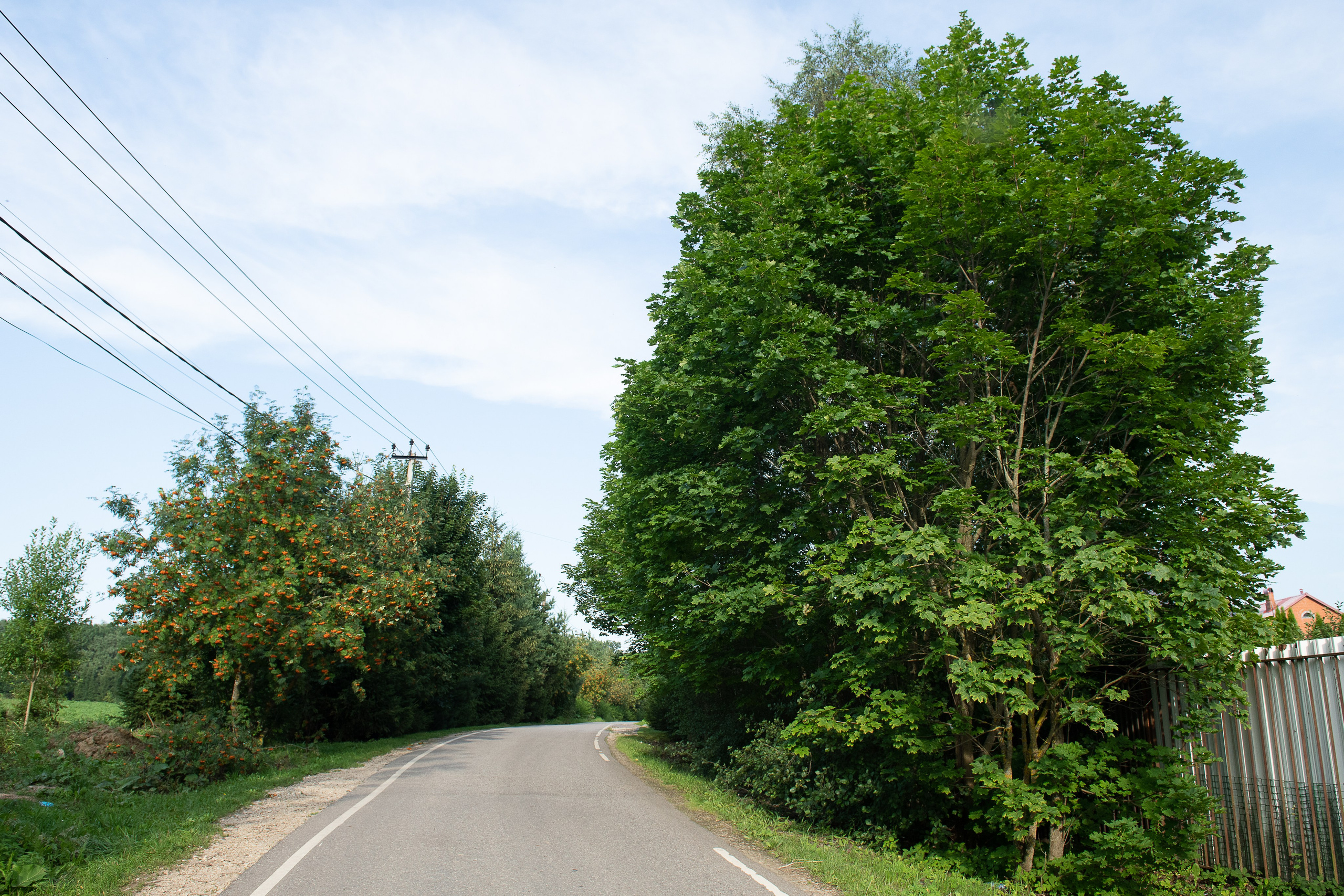 Олеся и Константин. Свадебные съёмки в Москве и МО Галина Борисова