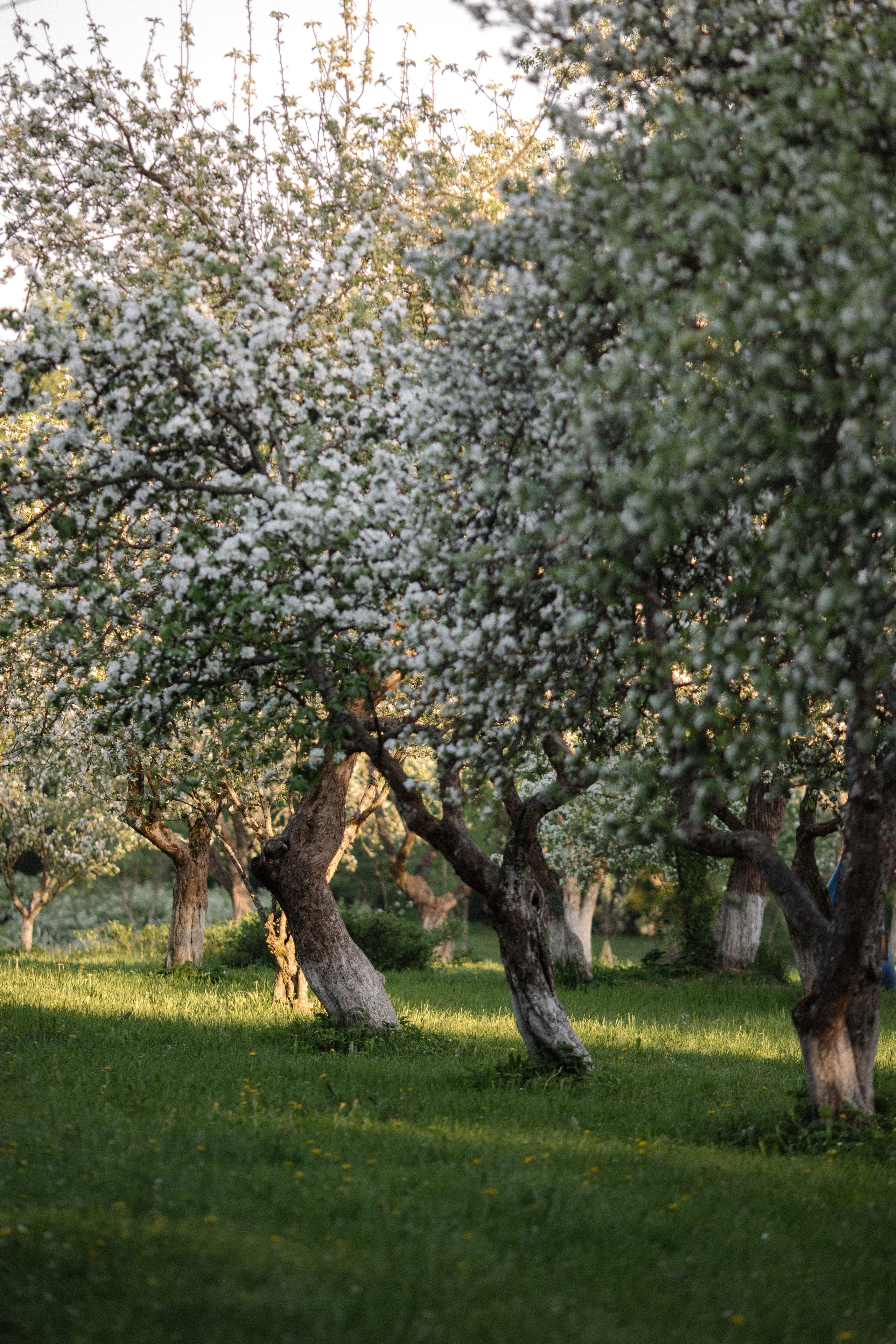 Виктория. Контент фотограф в Санкт-Петербурге Елена Кегель