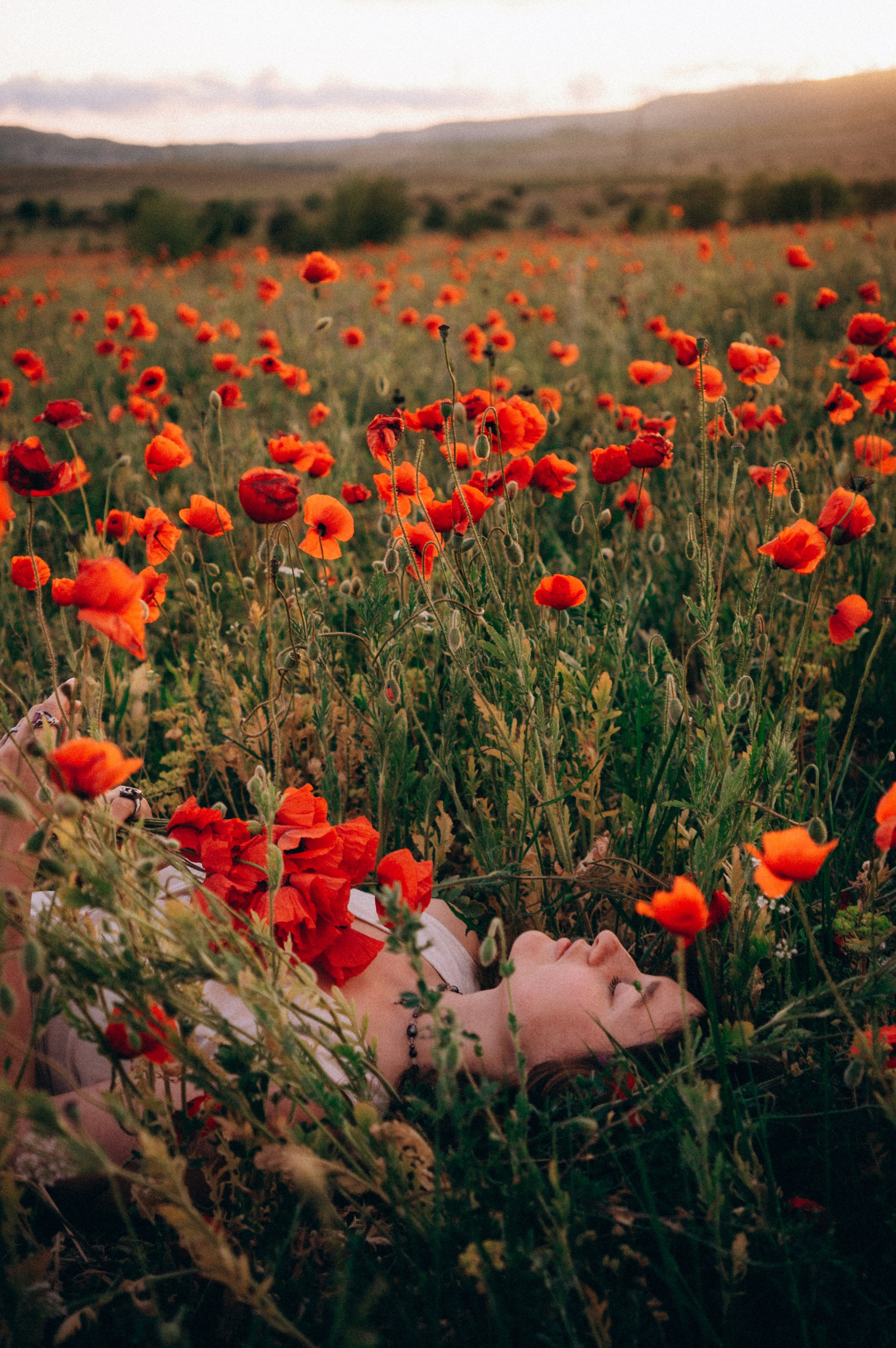 Тур за травами | маки. Обо мне