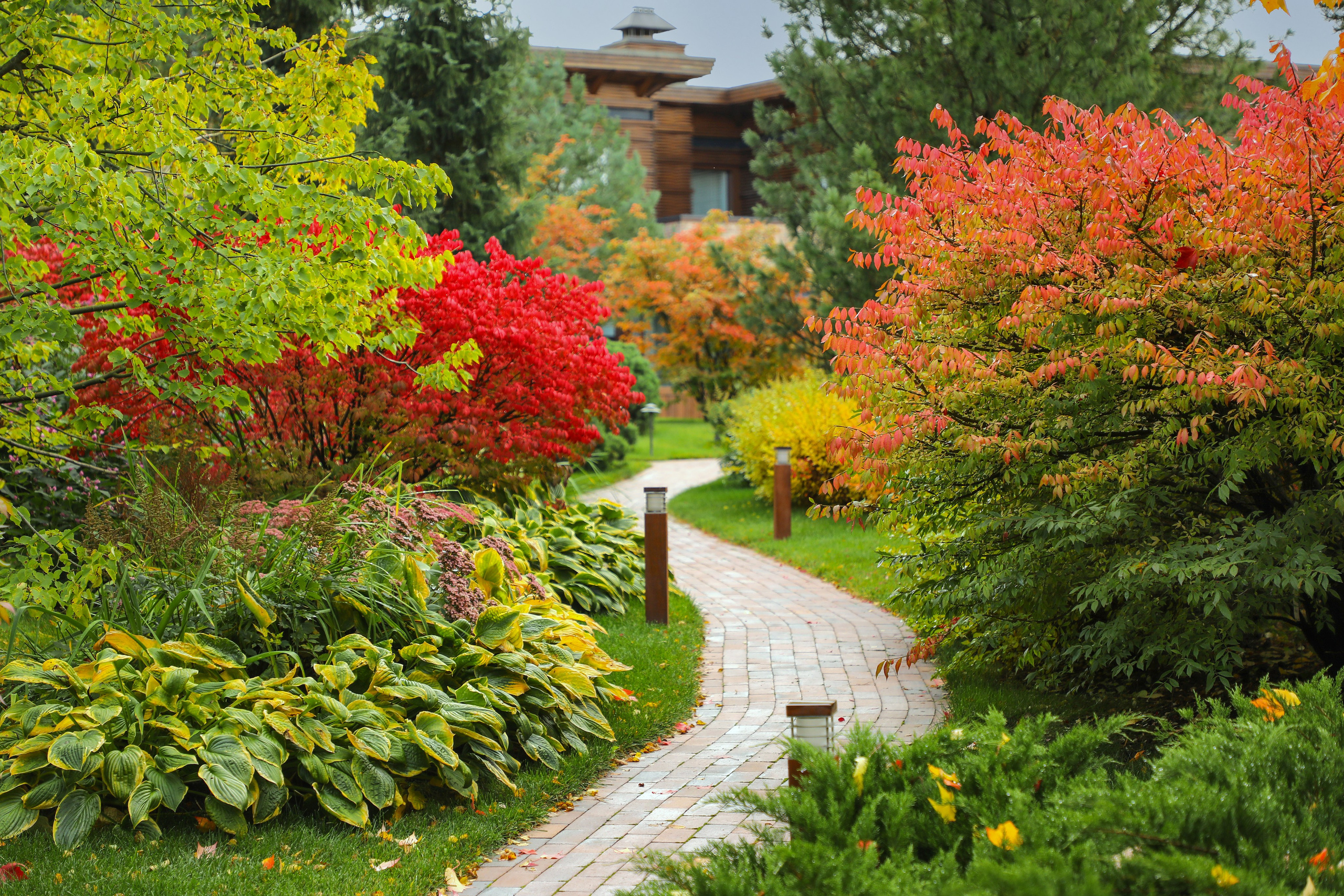 Съемка растений. Интервью для сайта садового центра «Империал Гарден». Ландшафтный фотограф Андрей Лысиков, Москва