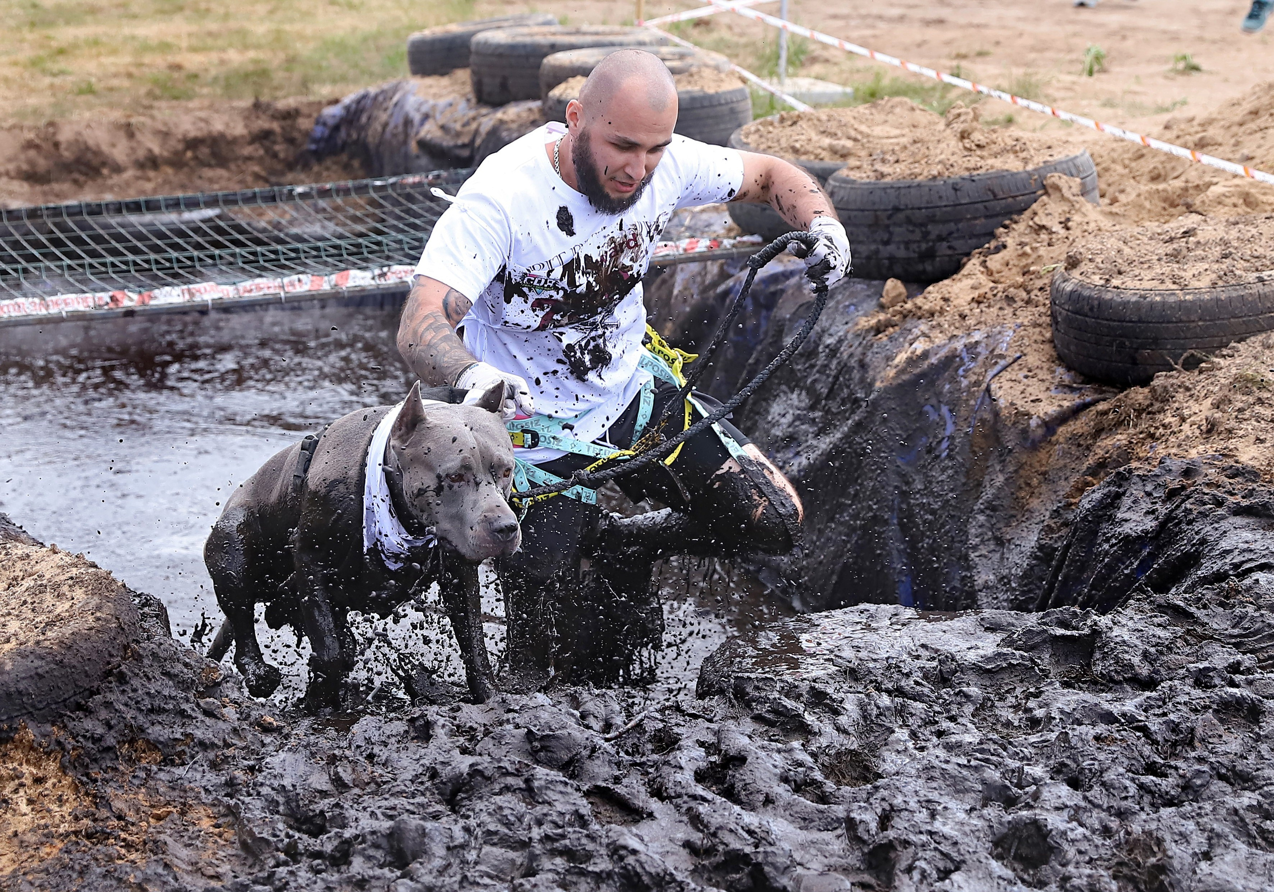 Хвостатый драйв. Семейный и детский фотограф в Москве и МО Елена Москвичева