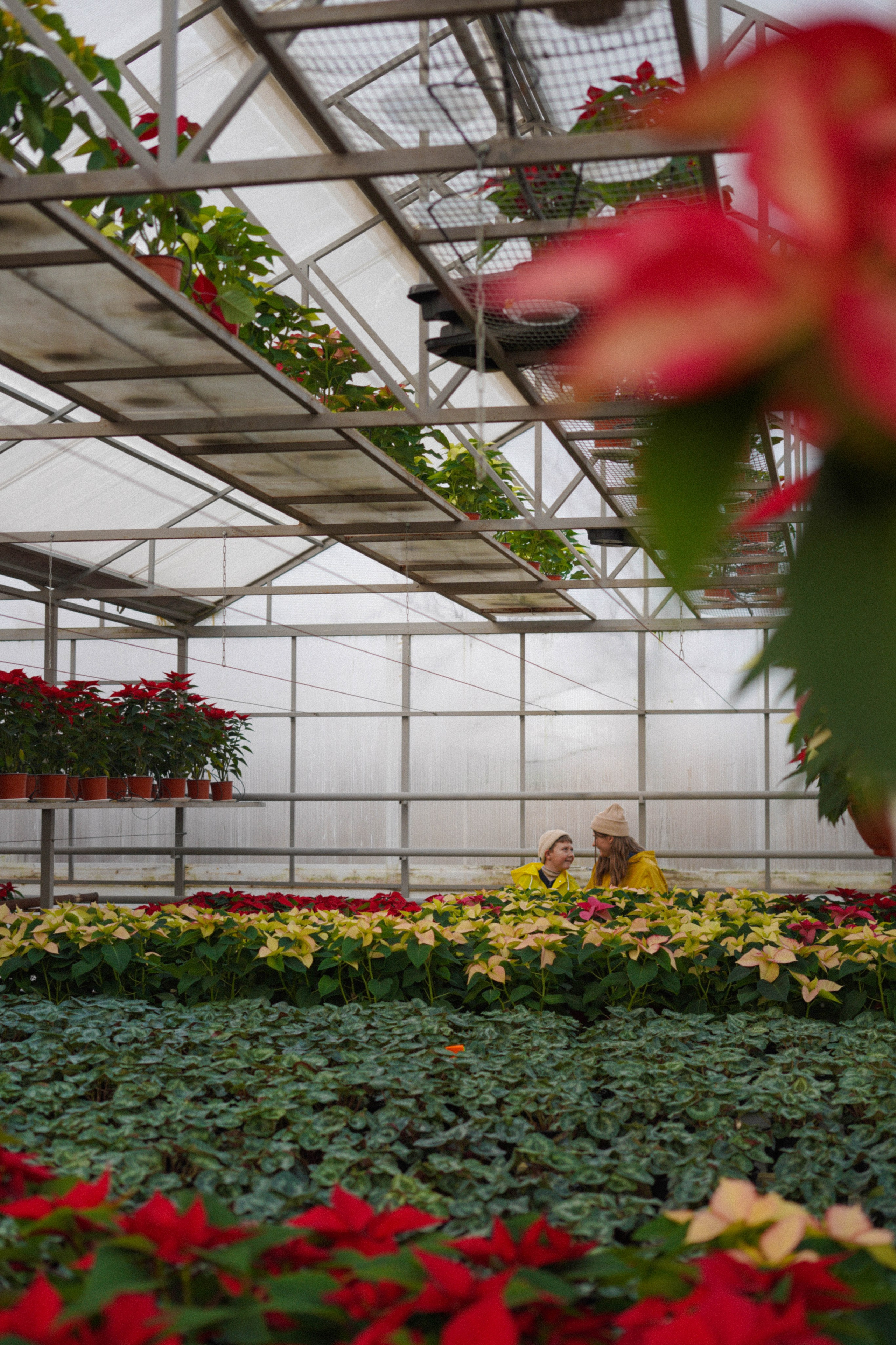 Осень и ее прелести. Свадебный и семейный фотограф Афанасьева Анна в Кисловодске