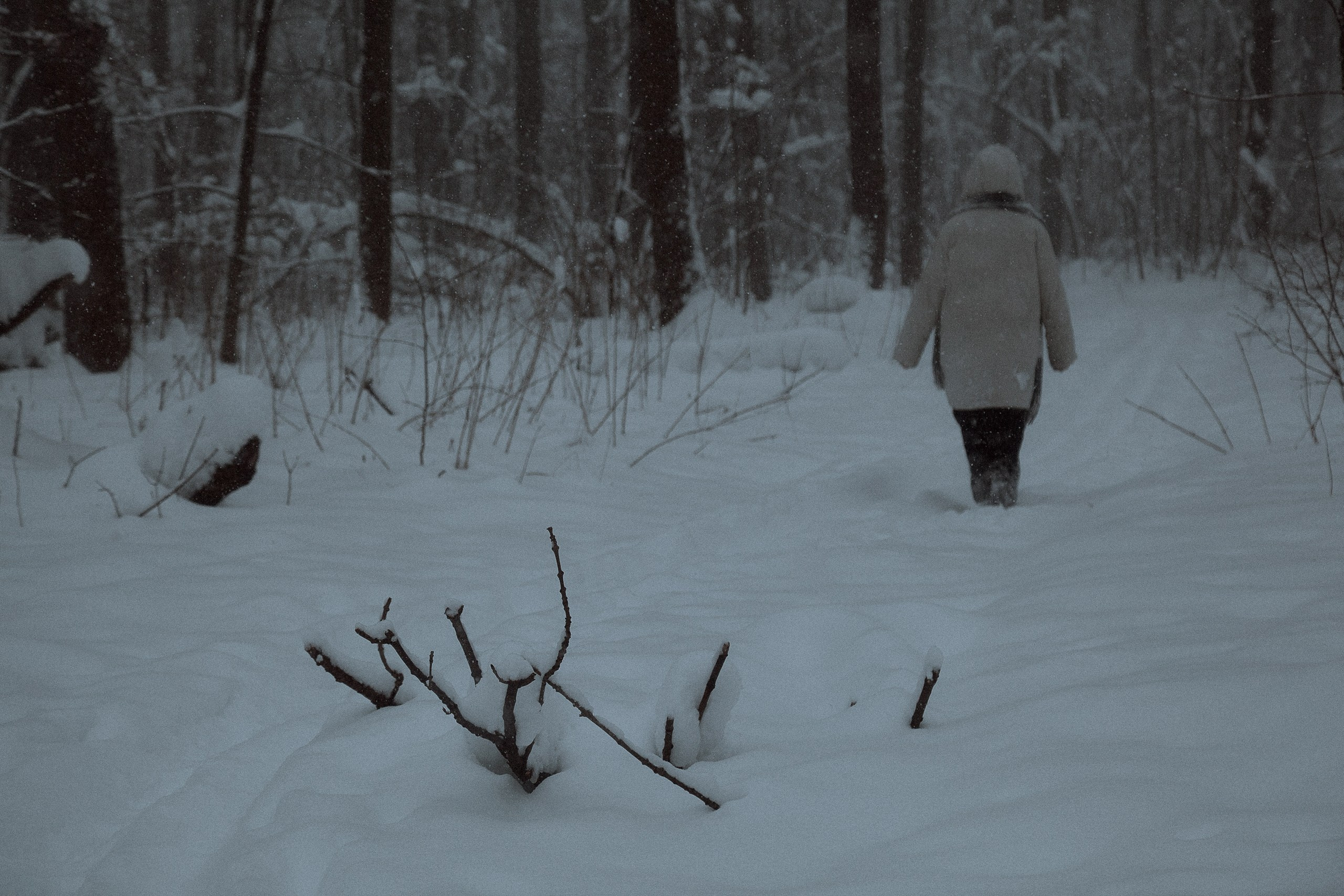 Диана. Леонид Рябов — фотограф в Нижнем Новгороде