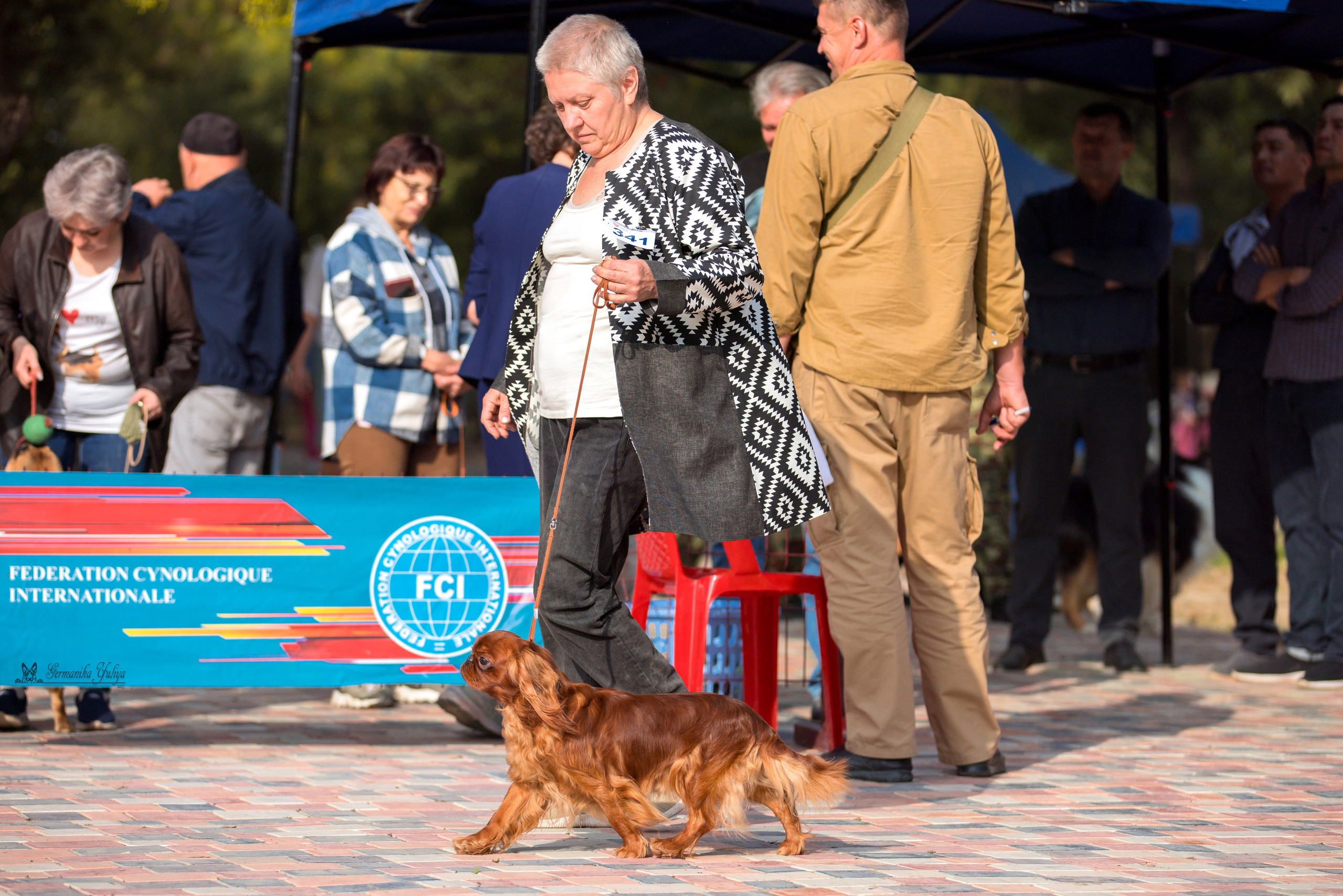 Ташкент 6-8.10.2023 + Алматы 14-15.10.2023. Фотограф-анималист Юлия Германика