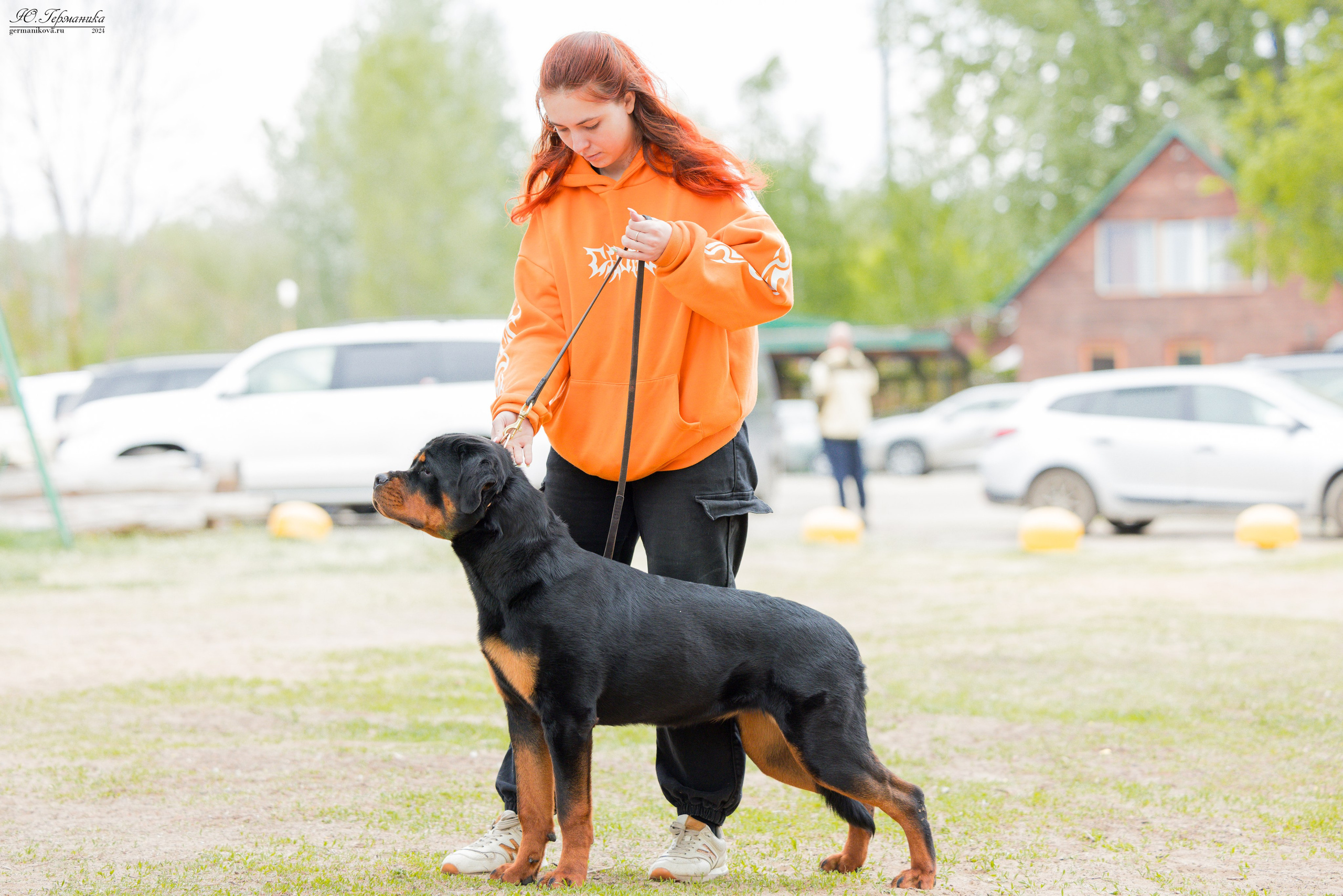 Саратов 2 х моно ротвейлеров 28-29.04.2024. Фотограф-анималист Юлия Германика