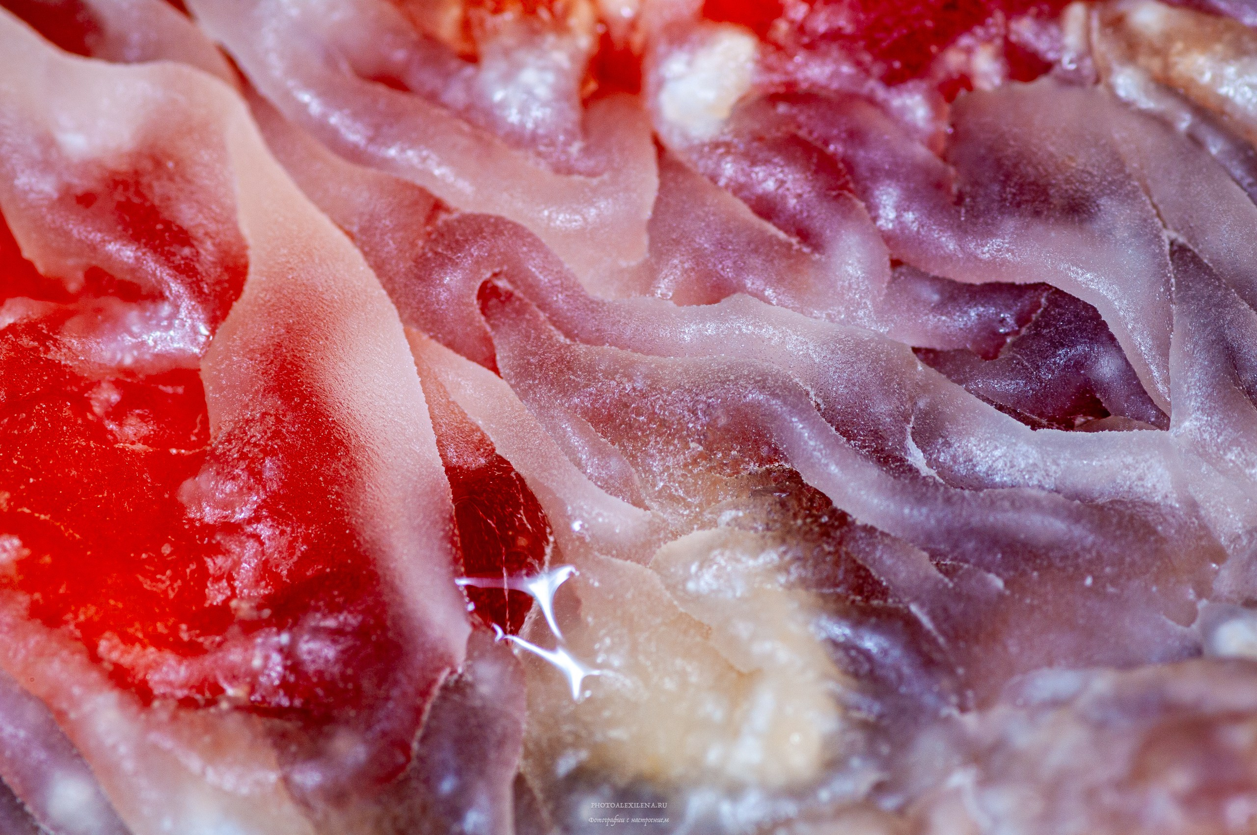 Осязаемая красота. Авторские стильные фотокартины