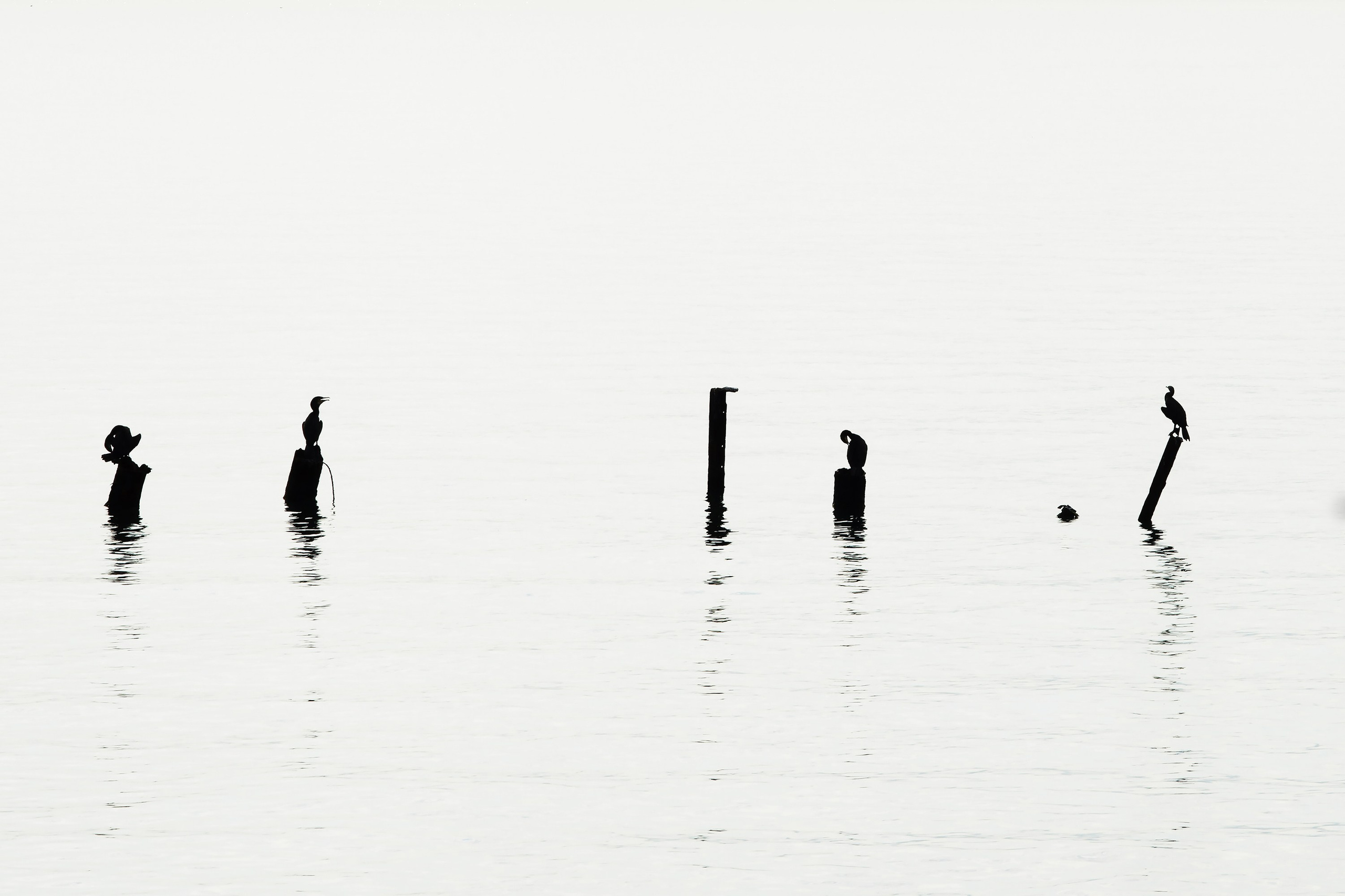 Абстракции. Яркие фото на Чёрном море