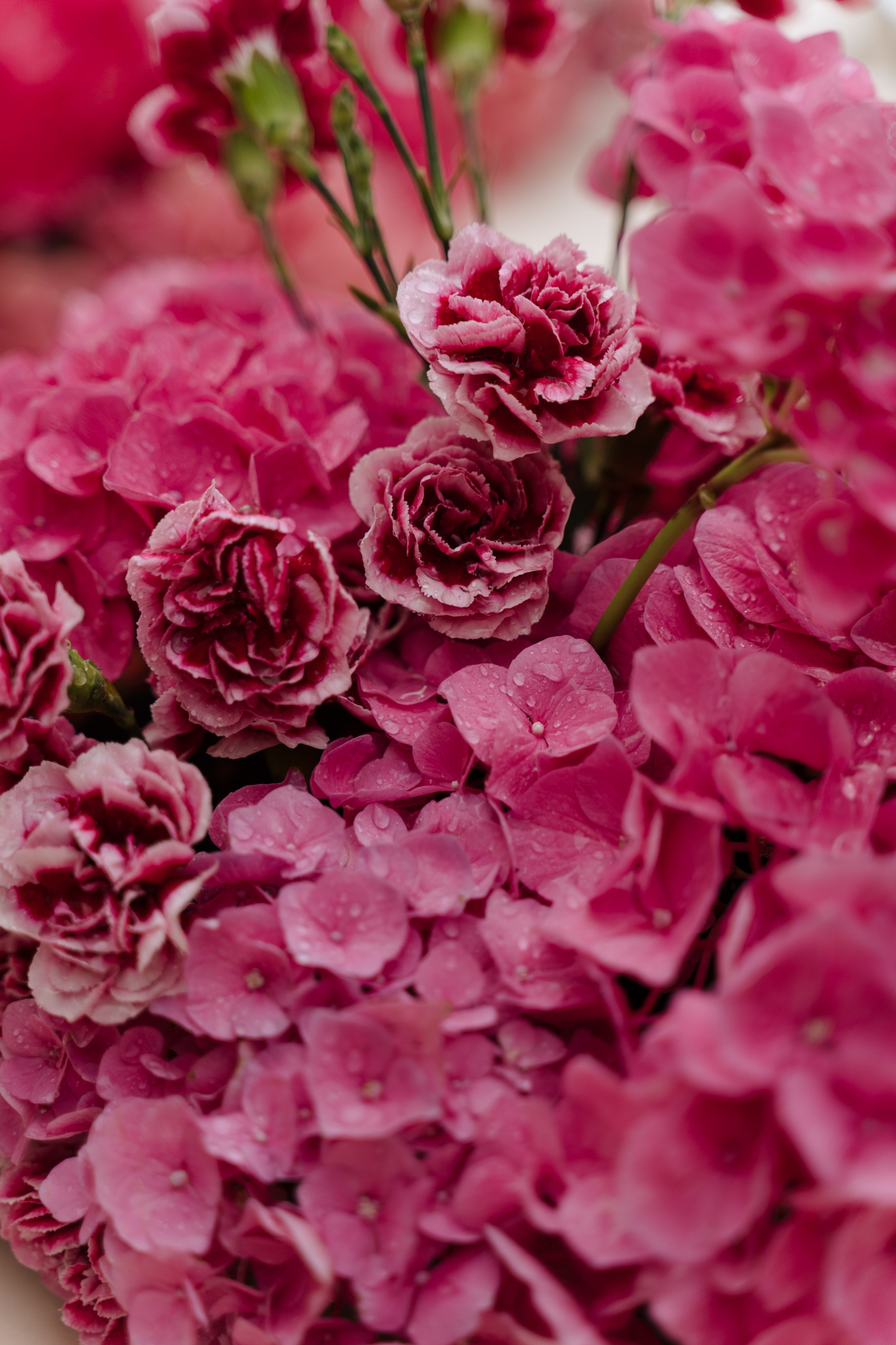 Anastasia&Yuri. Портретный фотограф в Краснодаре Валерия Матирная