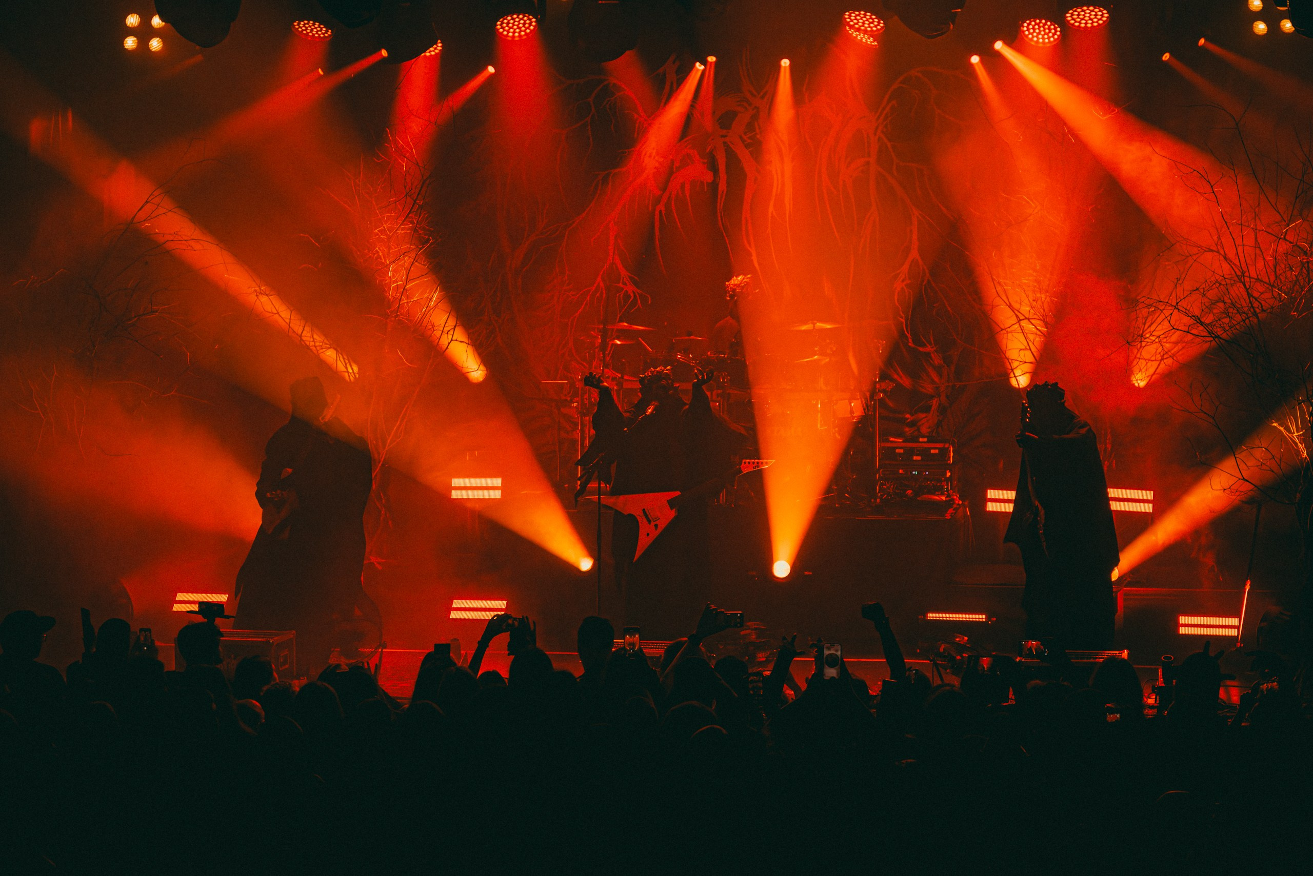 Концертное портфолио. Портфолио