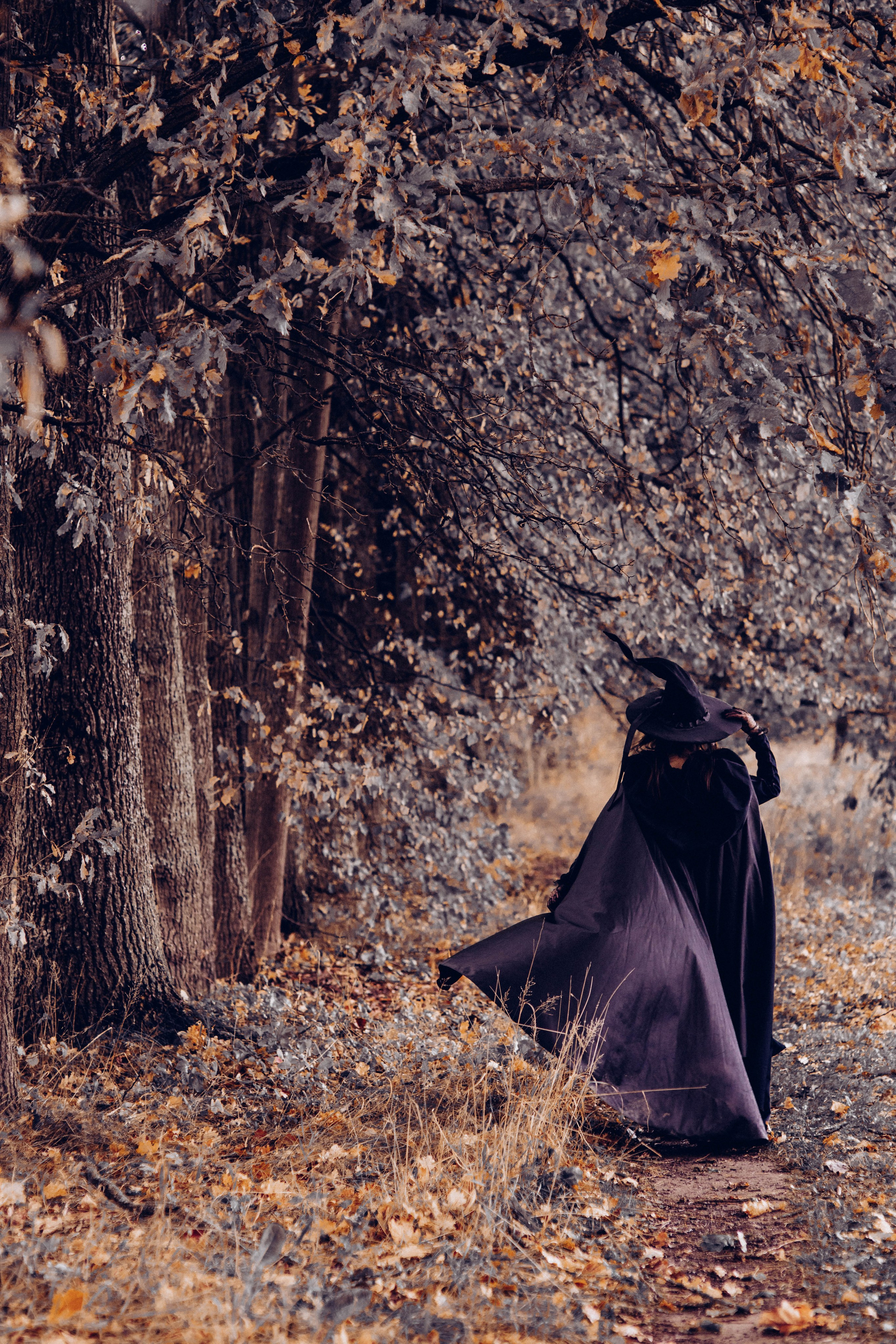 Хэллоуин. Псков. Тыквенный спас. Фотосессии Фотодни Псков СПб