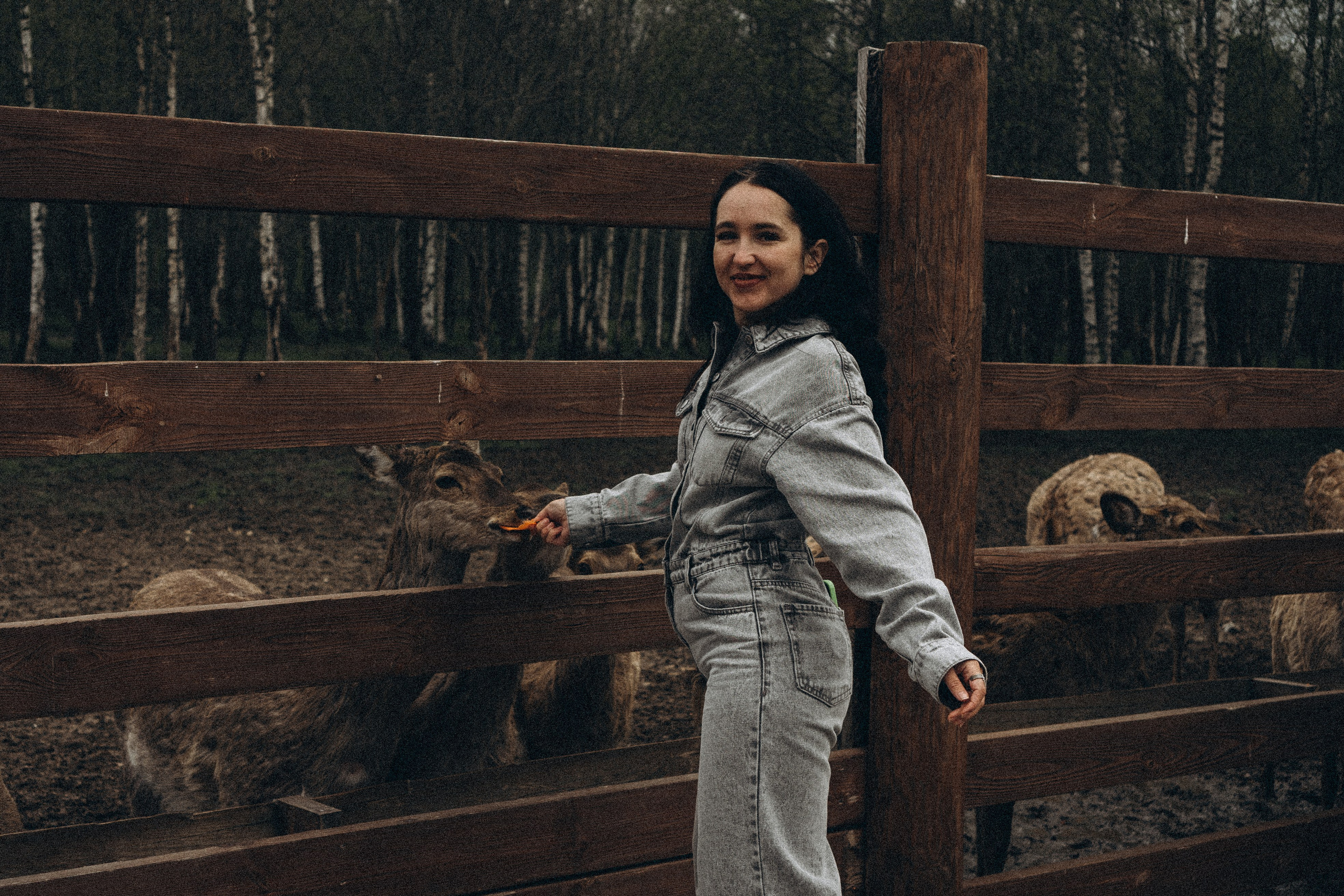 ОЛЕНЬЯ ФЕРМА В ТВЕРИ. Профессиональный фотограф, Санкт-Петербург — Виктория Богомолова