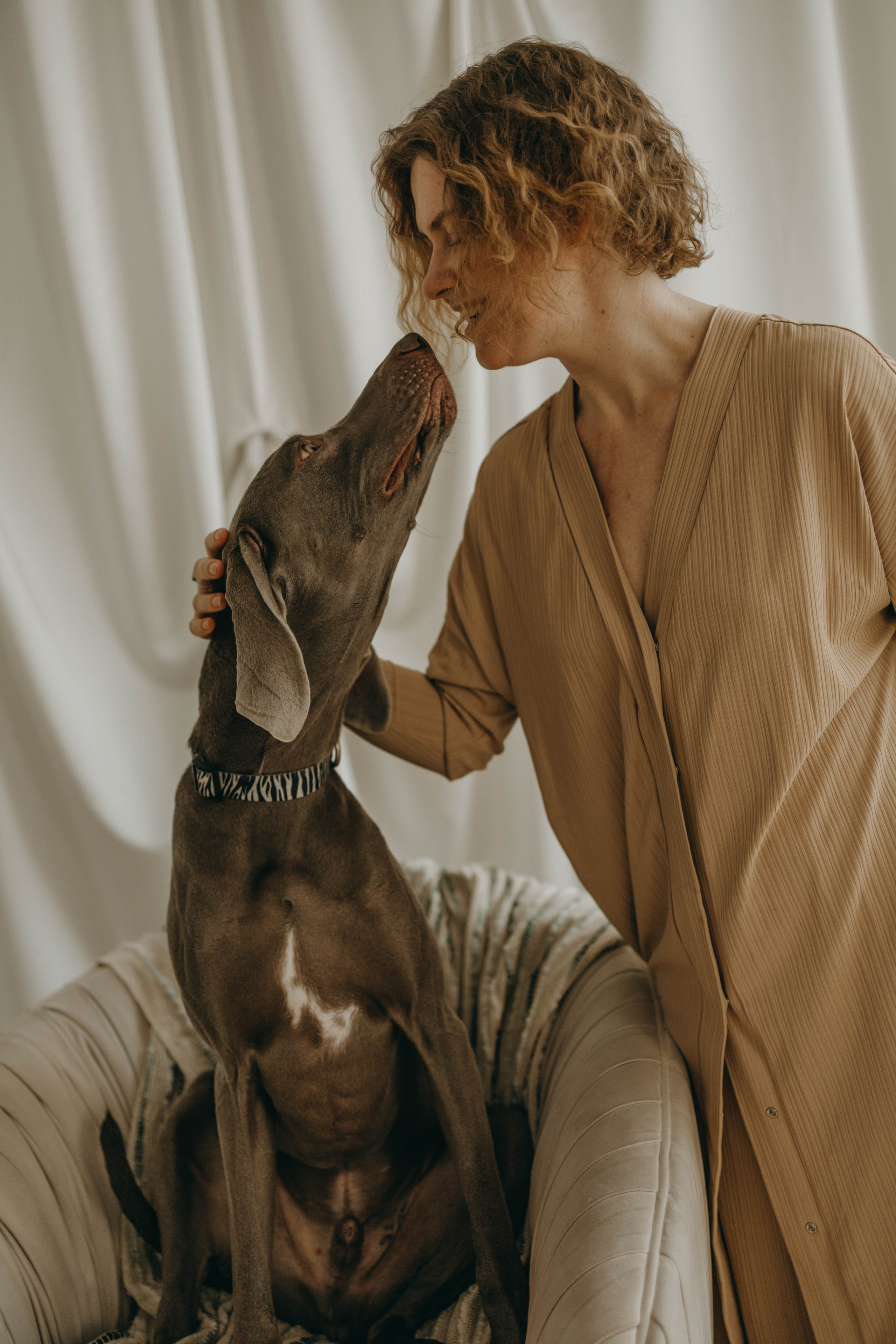 Фотосессия в студии с собакой. Фотограф-анималист в Екатеринбурге | Кристина