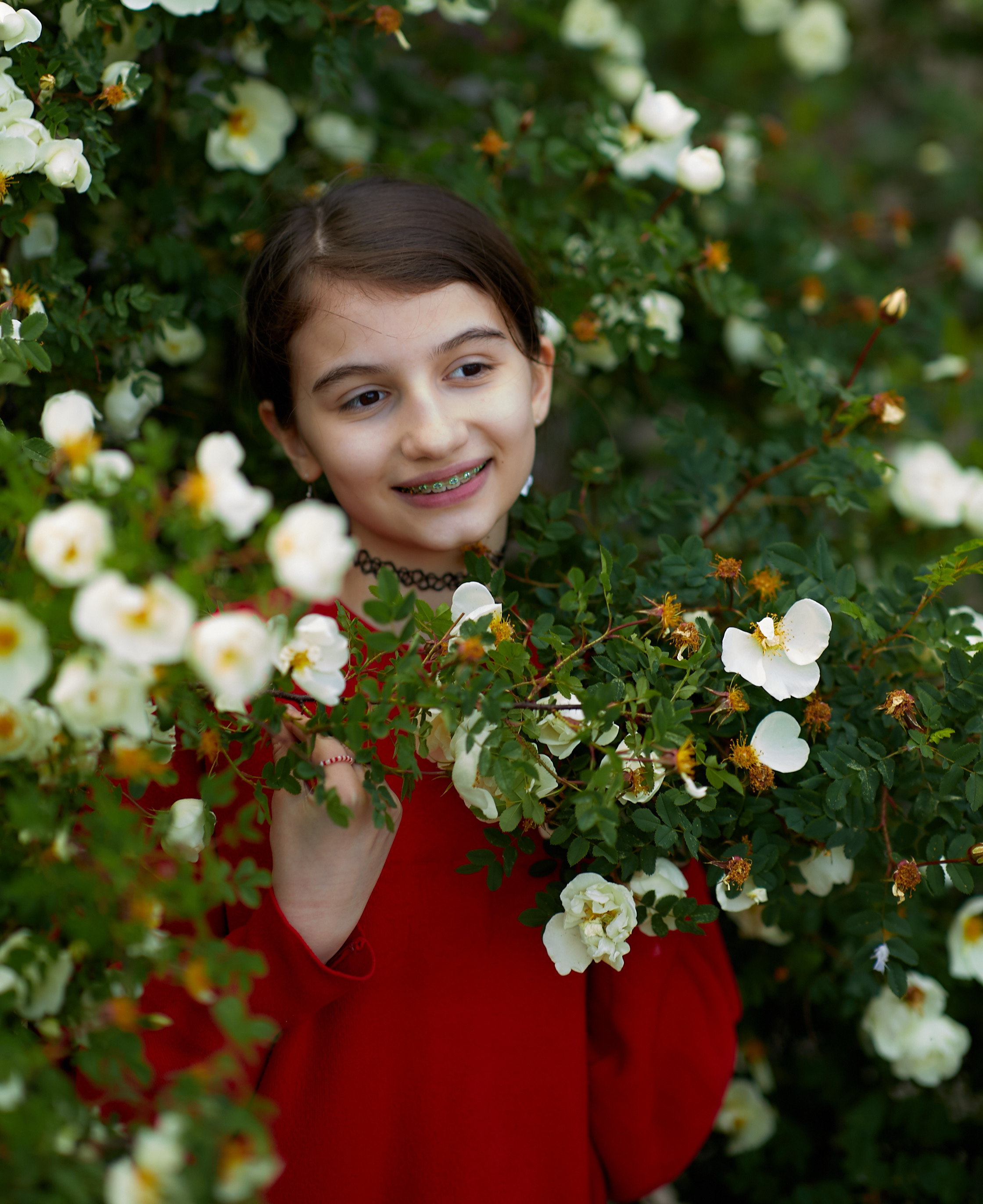 Цветение шиповник. Семейный и детский фотограф в Ярославле Юлия Галашина