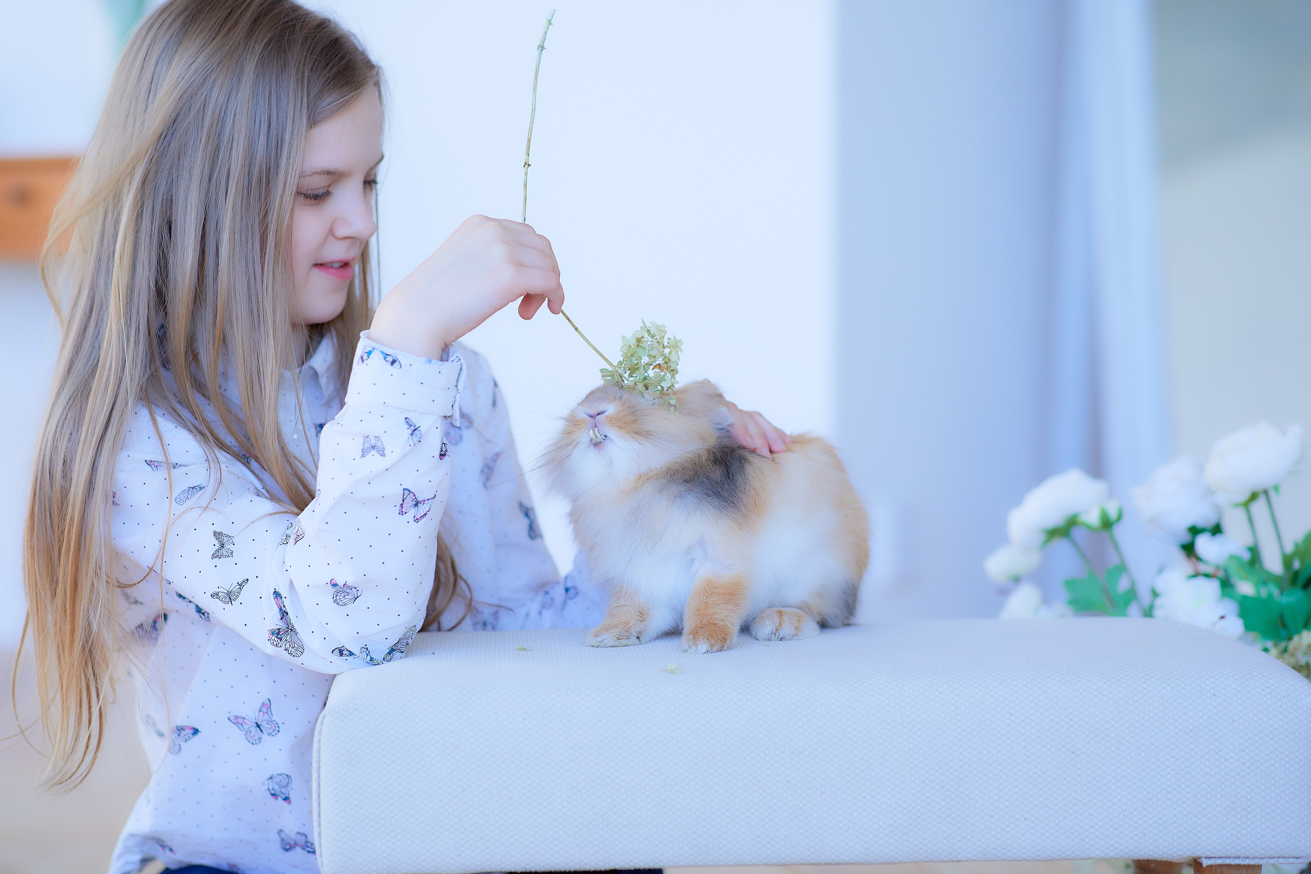 Настя и кролик Крош. Семейный и детский фотограф в Ярославле Юлия Галашина