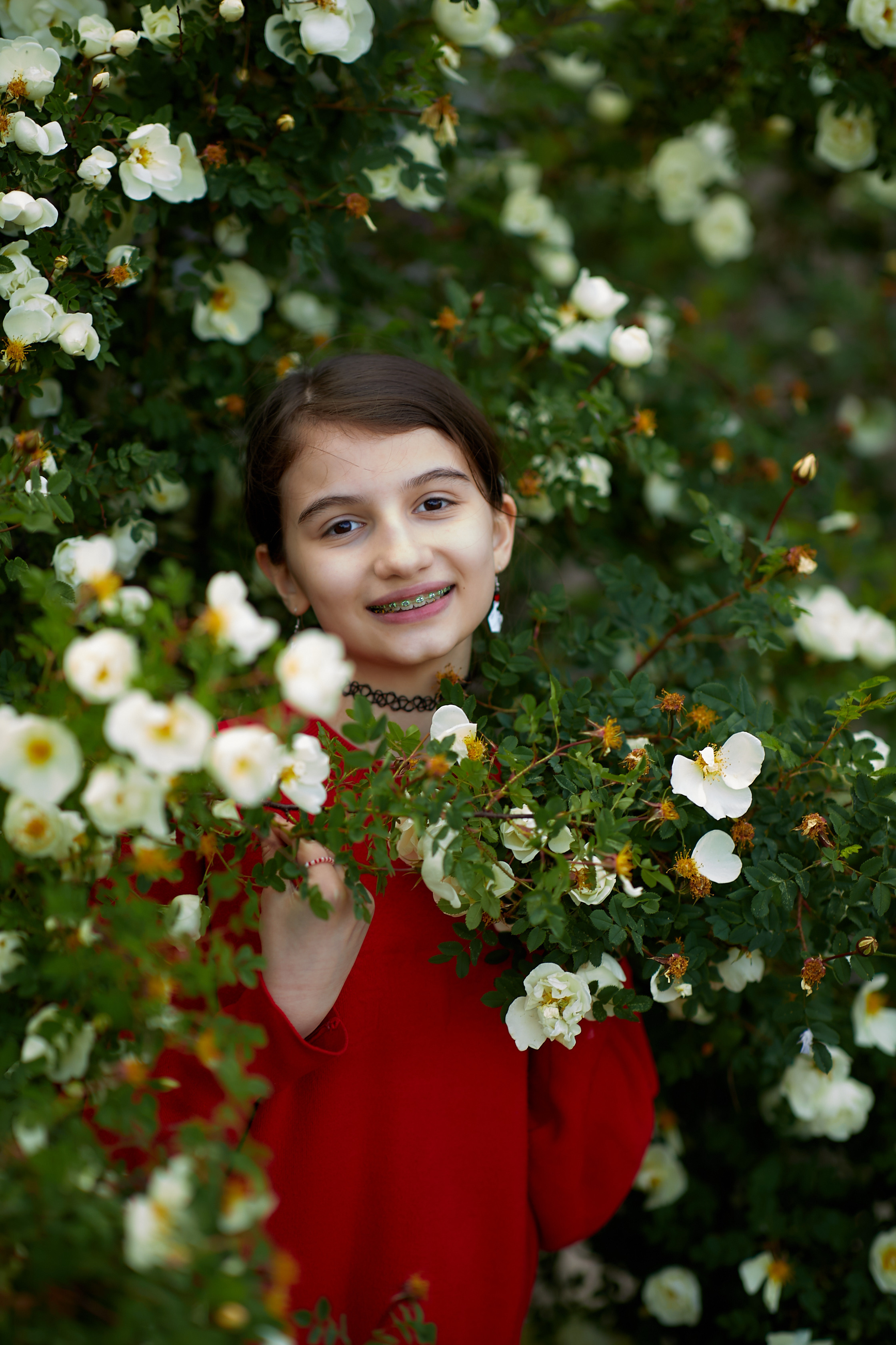 Цветение шиповник. Семейный и детский фотограф в Ярославле Юлия Галашина